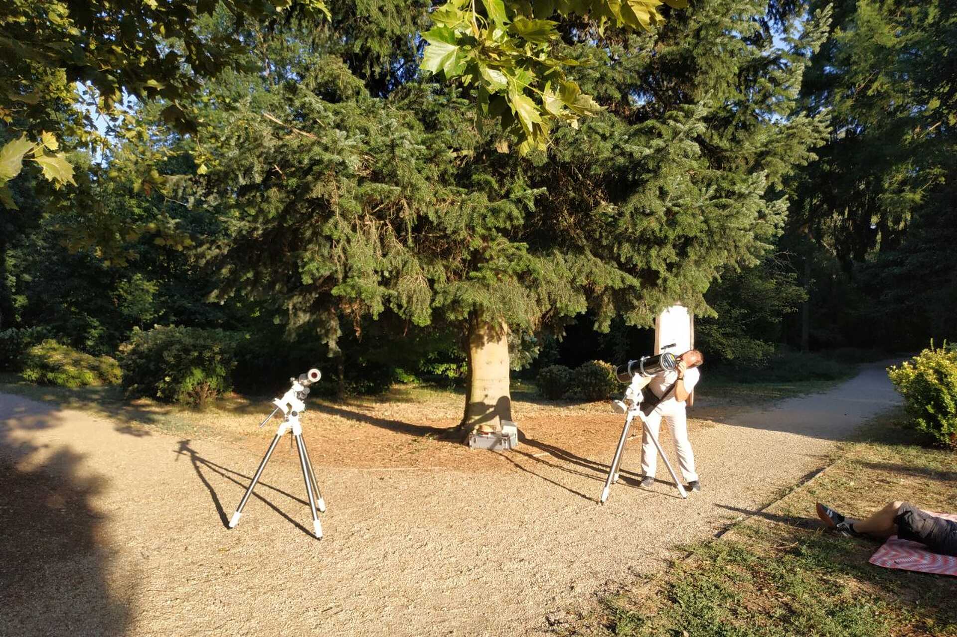 Napfogyatkozás a kámoni arborétumban
