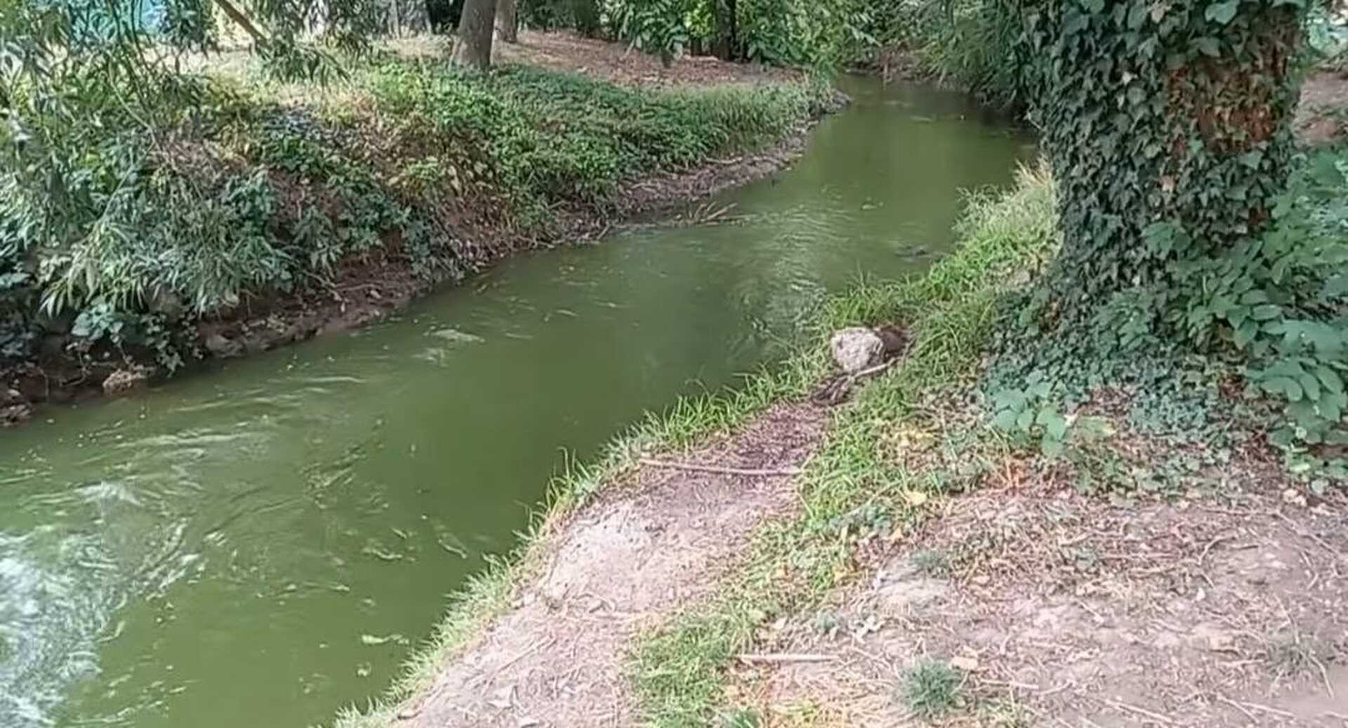 Az ausztriai esőzések után újra van víz a Gyöngyösben
