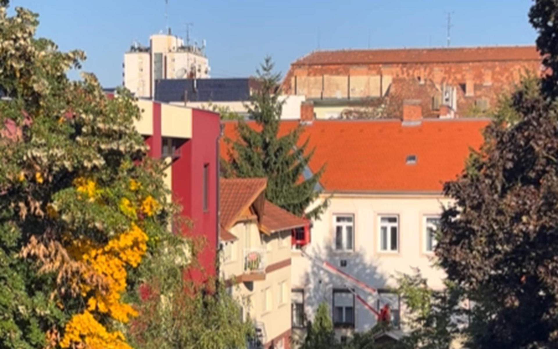 Kivágtak egy hatalmas fenyőt a Király utcában