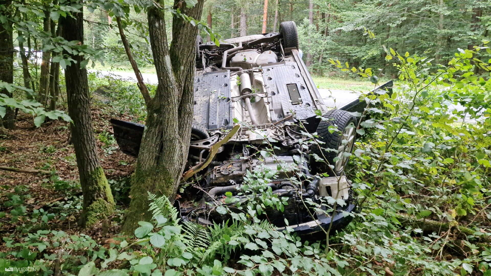 Két napja vásárolt Audi csapódott fák közé ittas sofőrrel Szentgotthárd közelében