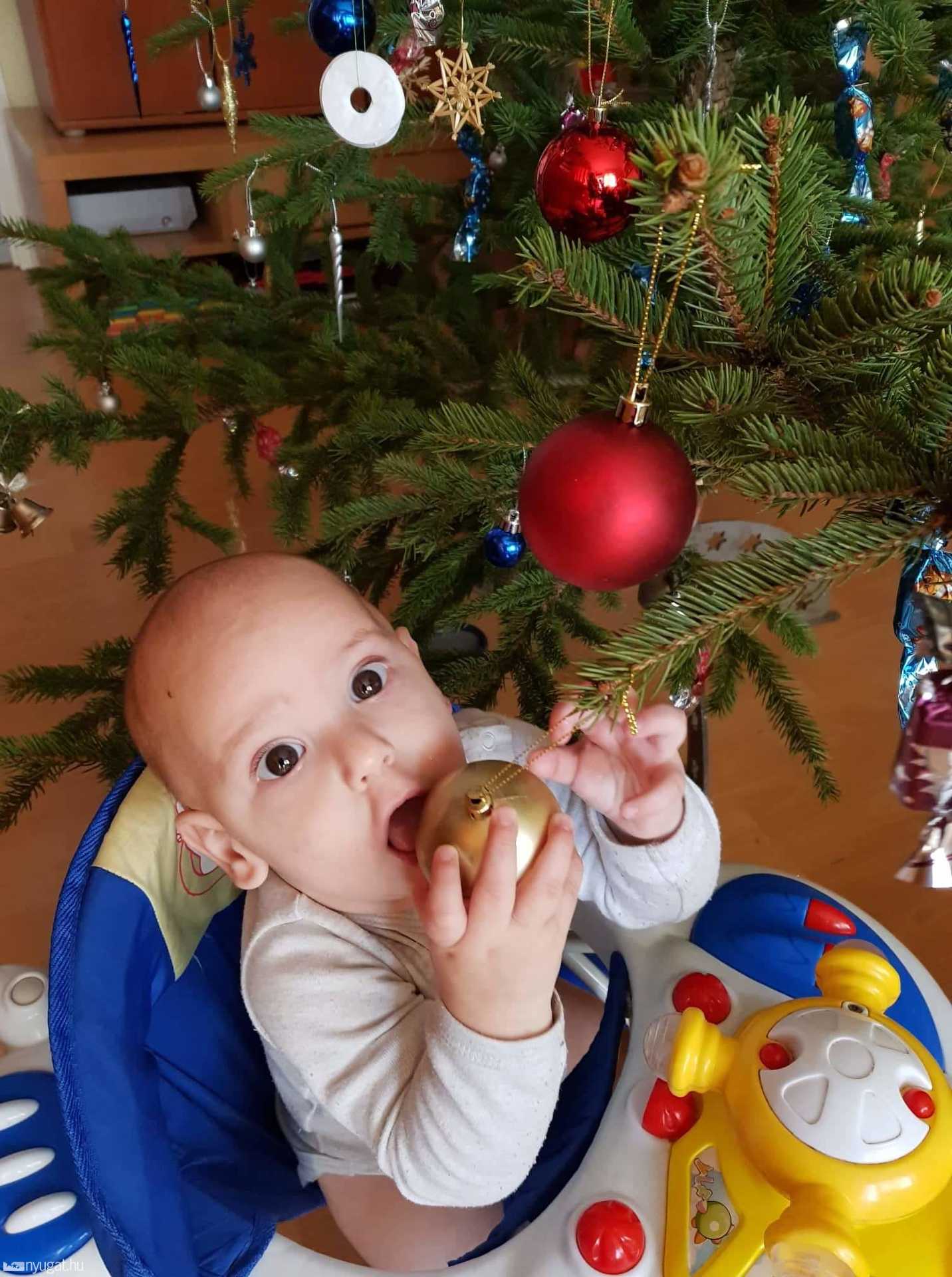 karacsonyi_fotopalyazat_2018 - 