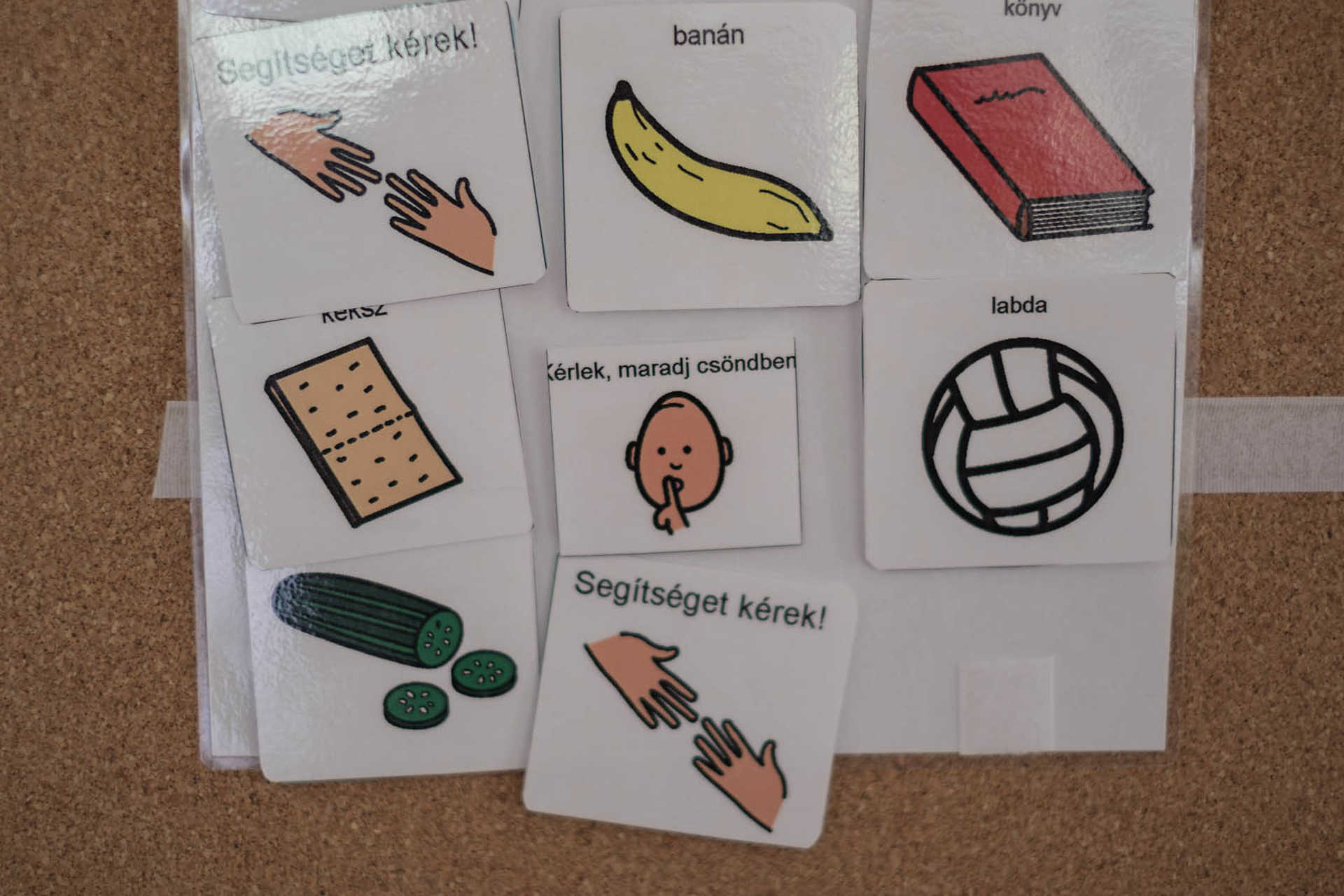 Tizenkét autista fiatal lakhatását oldja meg egy életre a Patrónus Ház
