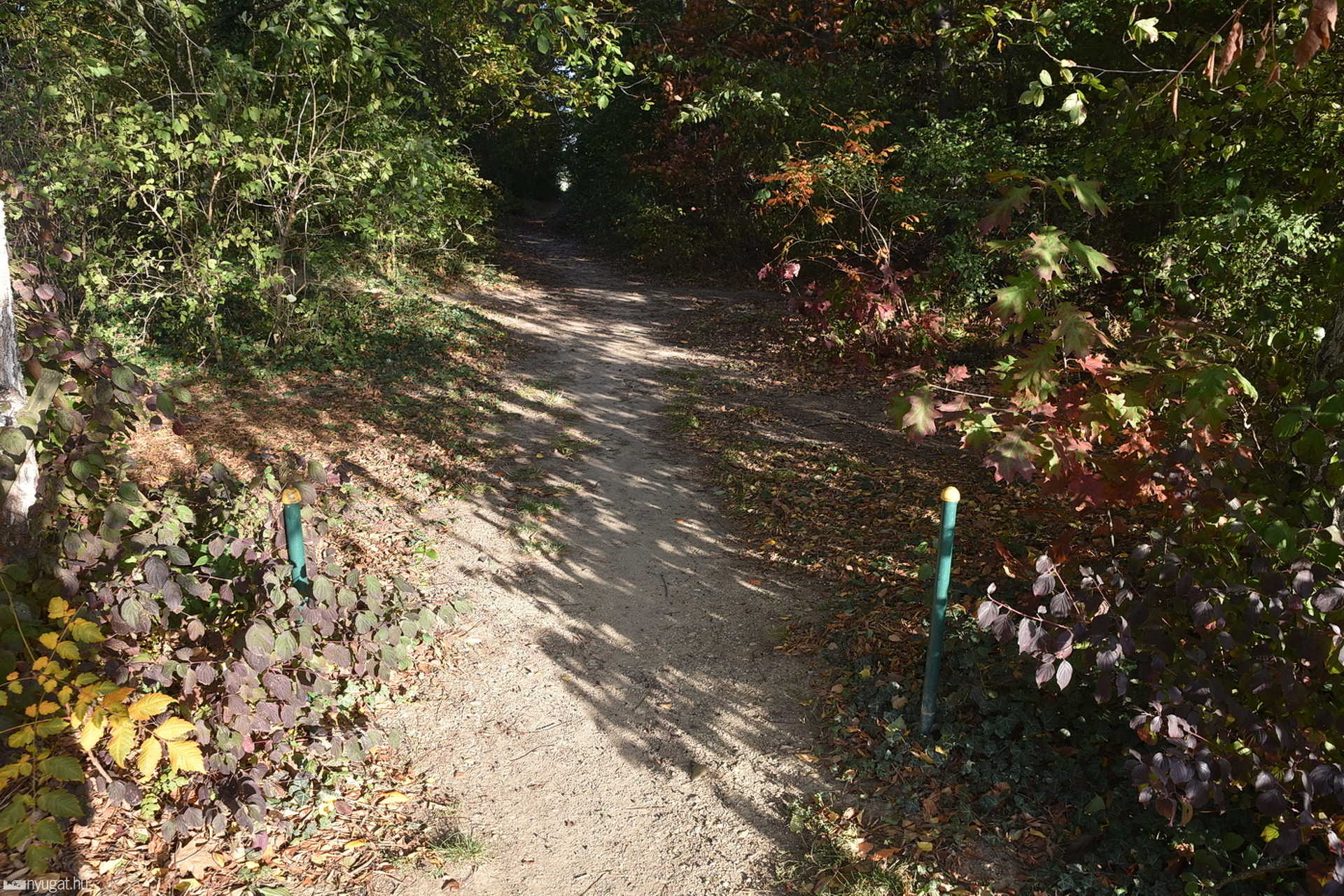 Ismét gumi égett a Minerva lakópark mellett, Szombathelyen
