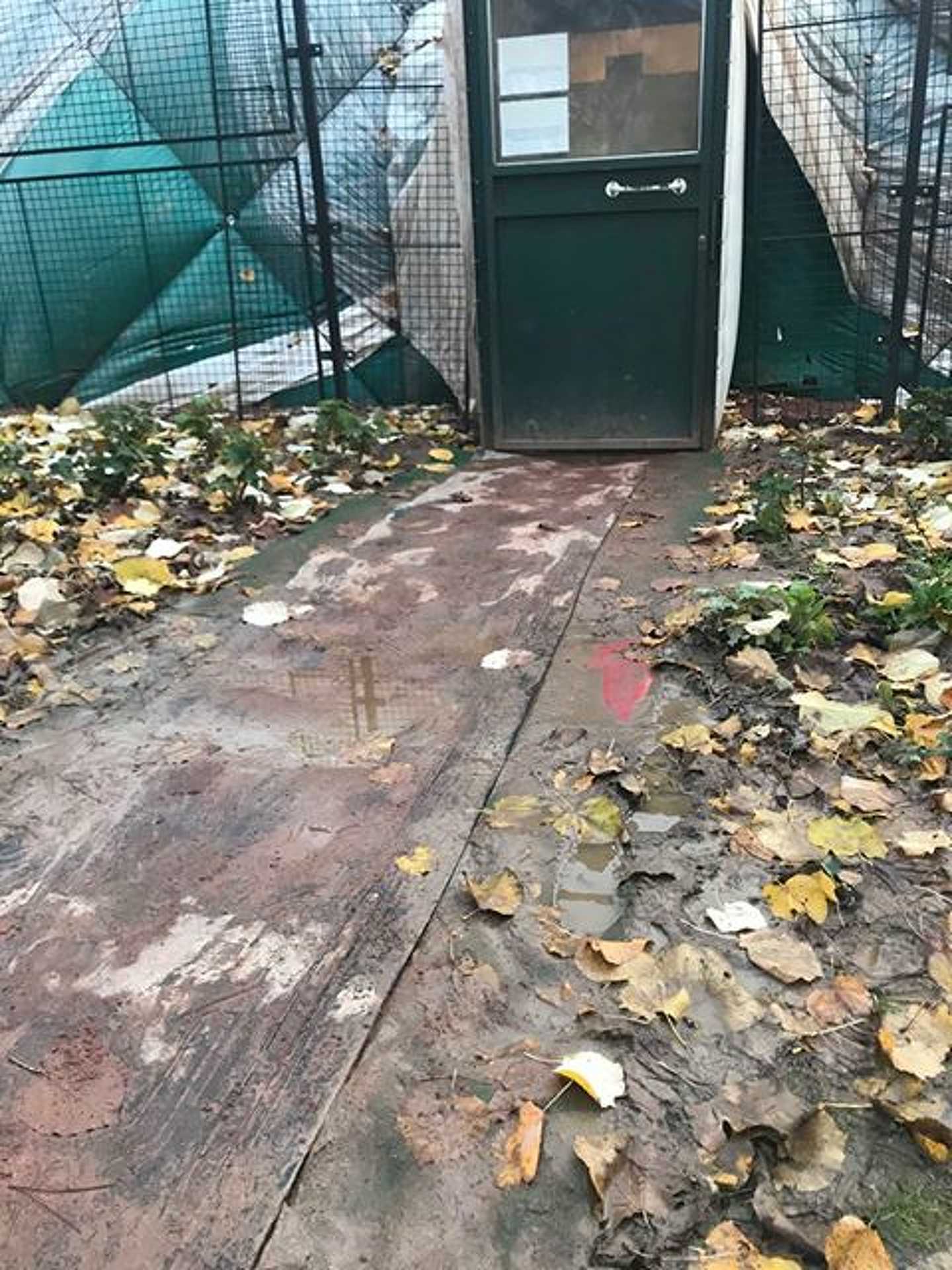 Teniszpálya a Sportligetben