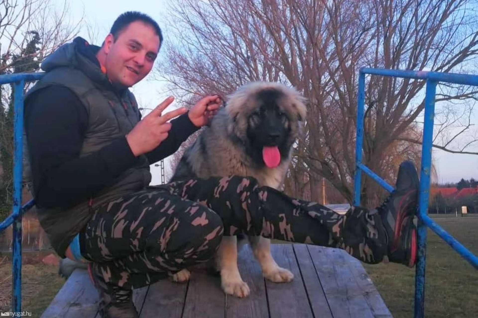 Picúr, a kaukázusi szuka, akiből 7 kilós daganatot operáltak ki a Szombathelyi Állatkórházban