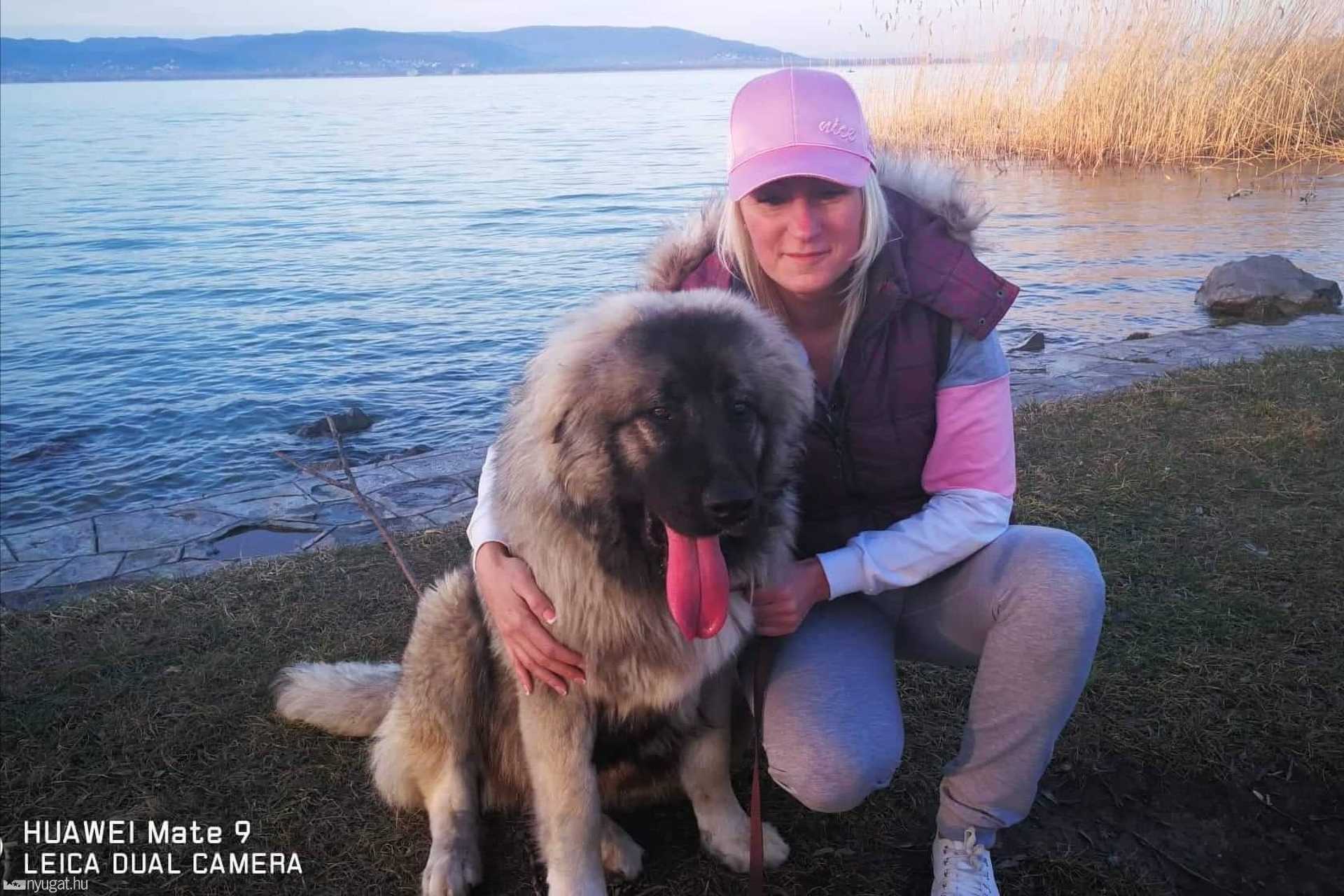 Picúr, a kaukázusi szuka, akiből 7 kilós daganatot operáltak ki a Szombathelyi Állatkórházban
