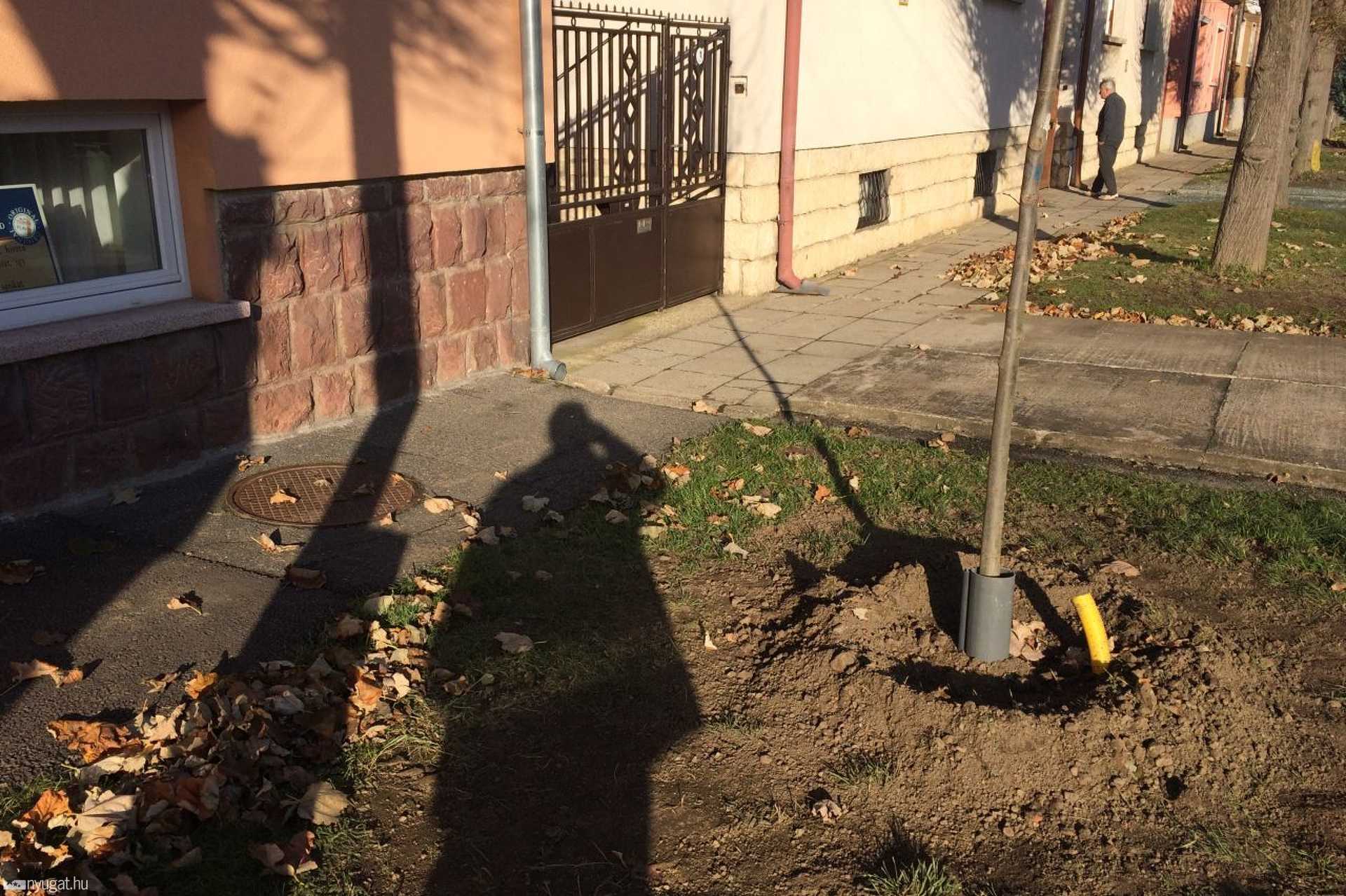 Faültetés miatt panaszkodnak a lakók az Újvilág utcában