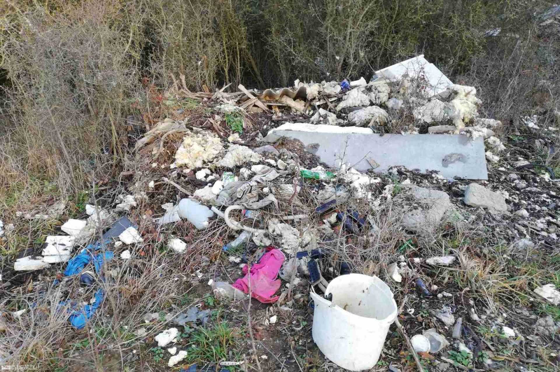 Borzasztóan szemetes a szombathelyi Parkerdő