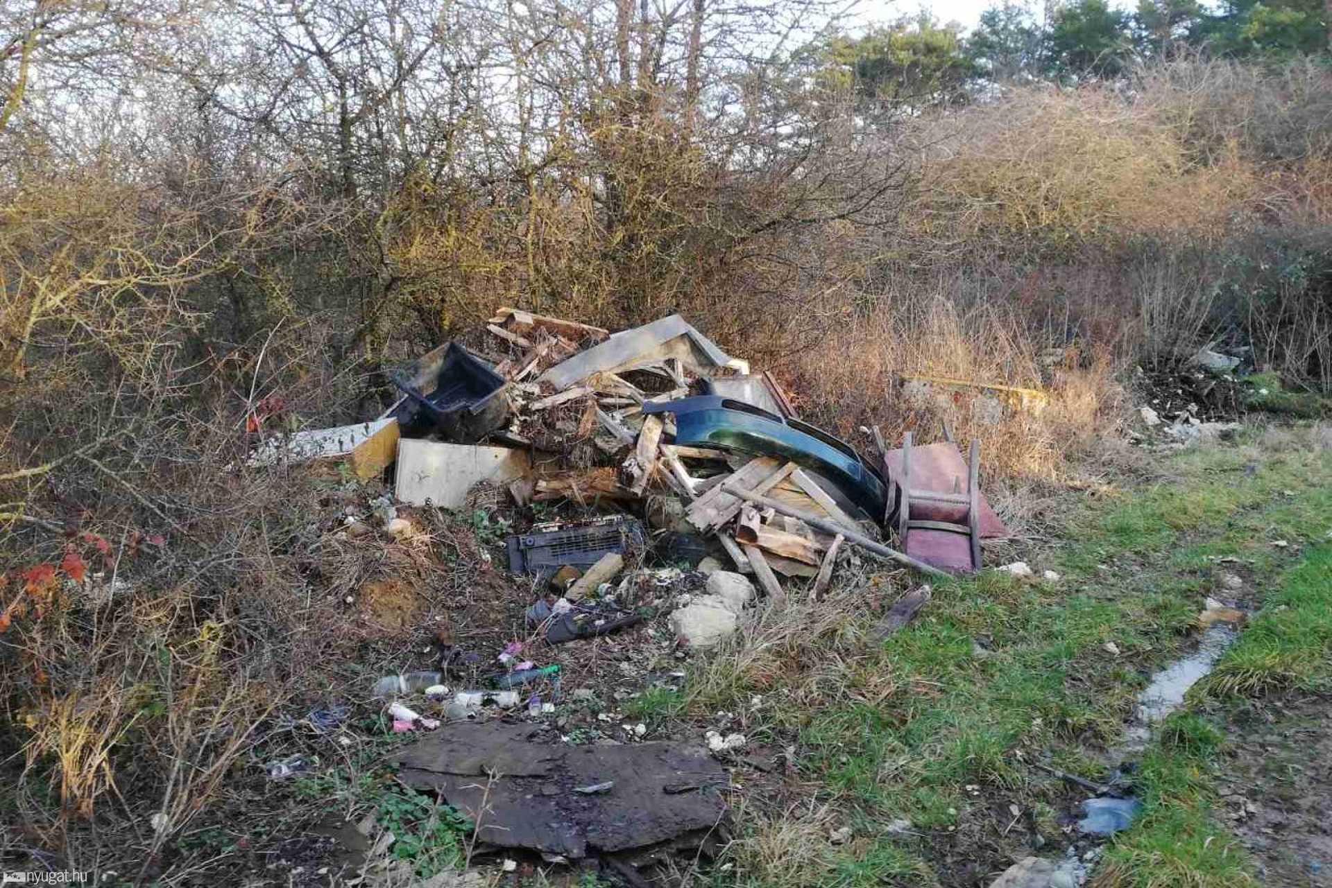 Ez a fotó a Parkerdőben készült tavaly márcisuban