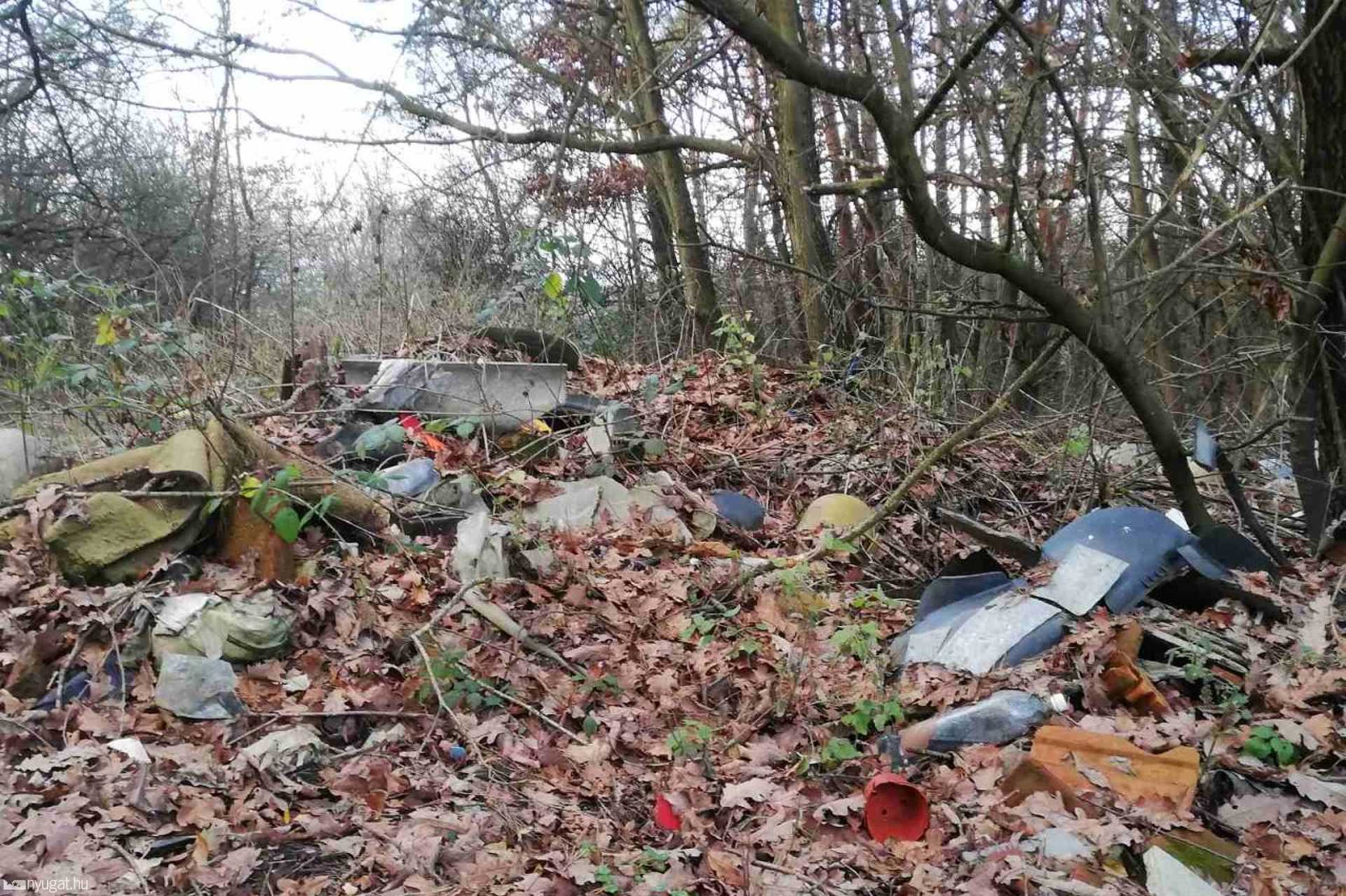 Borzasztóan szemetes a szombathelyi Parkerdő