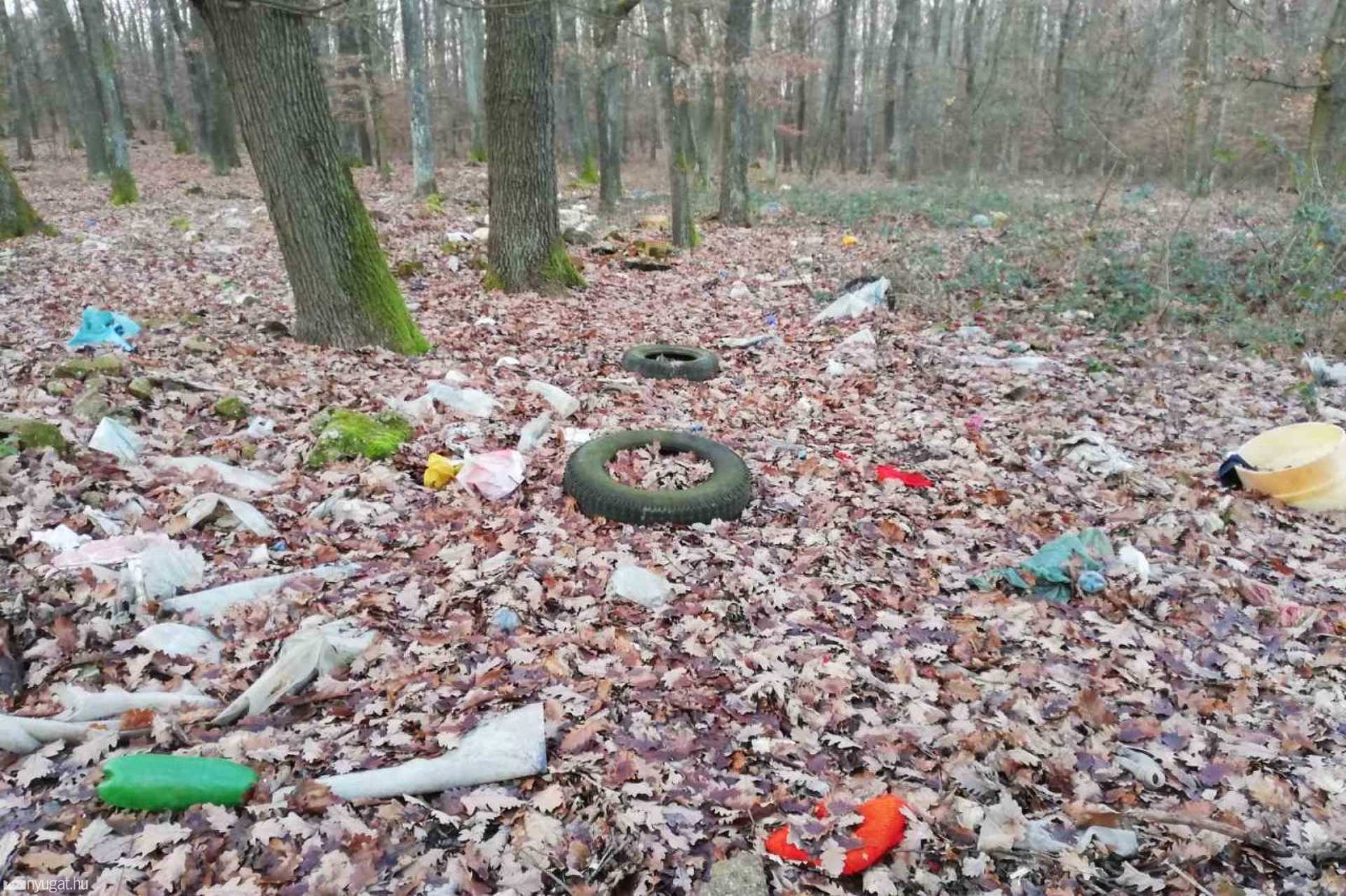 Borzasztóan szemetes a szombathelyi Parkerdő