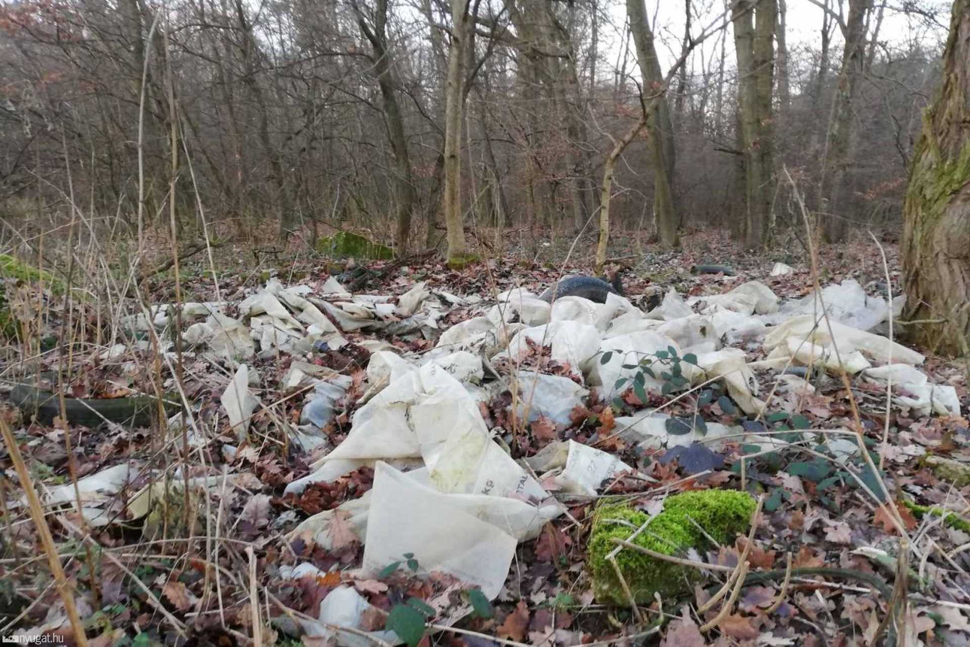 Borzasztóan szemetes a szombathelyi Parkerdő 
