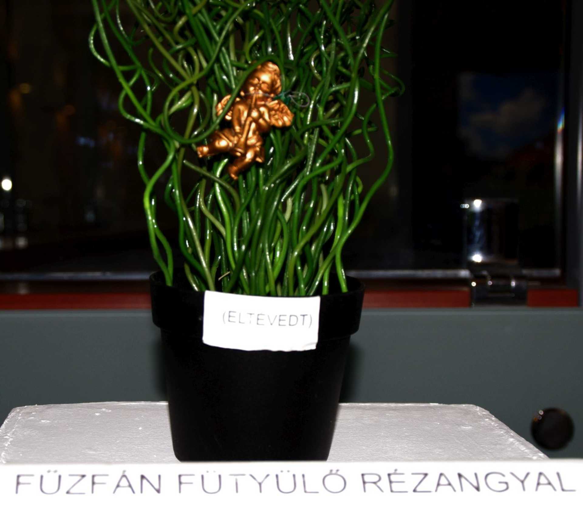 Nem létező tárgyak kiállítása