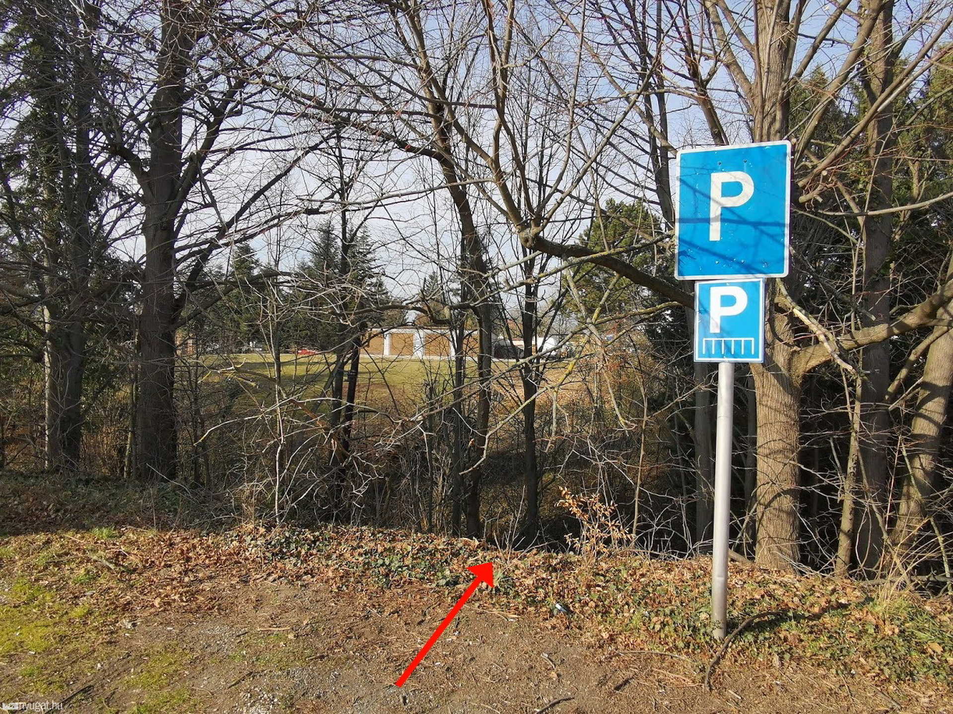 Ráadta a gyújtást az egyik utas – Legurult a dombon egy Opel a Maxxx Club parkolójából