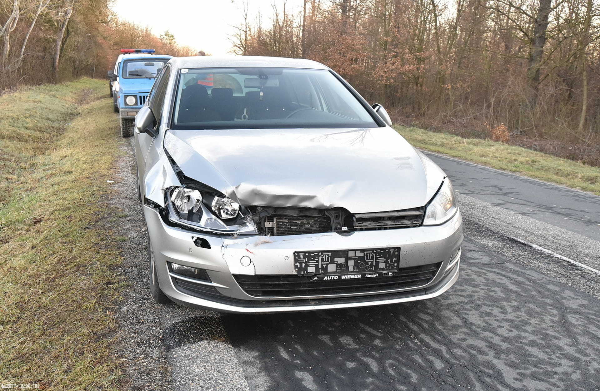 Őz szaladt Volkswagen elé Nárai közelében