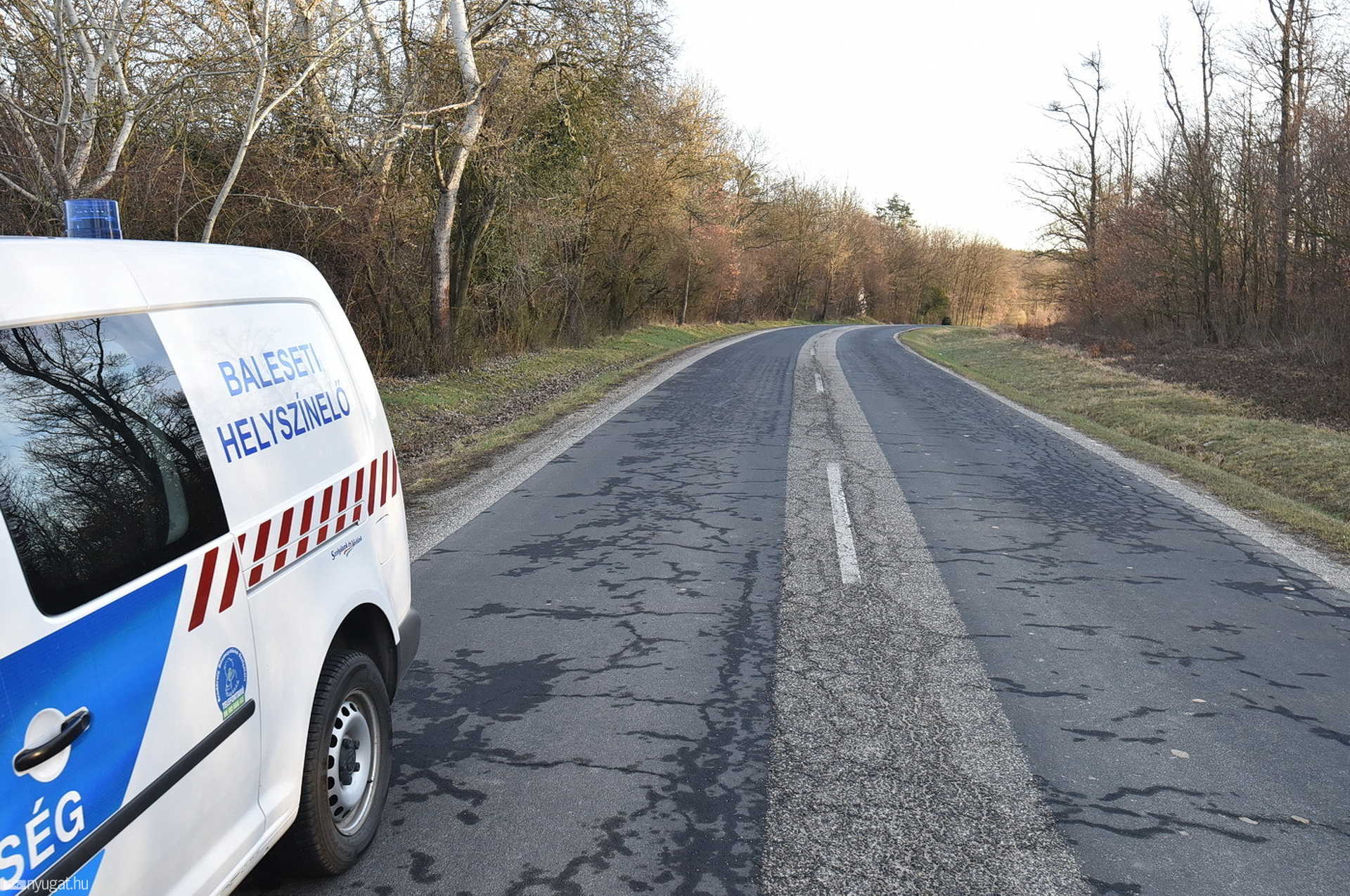 Őz szaladt Volkswagen elé Nárai közelében