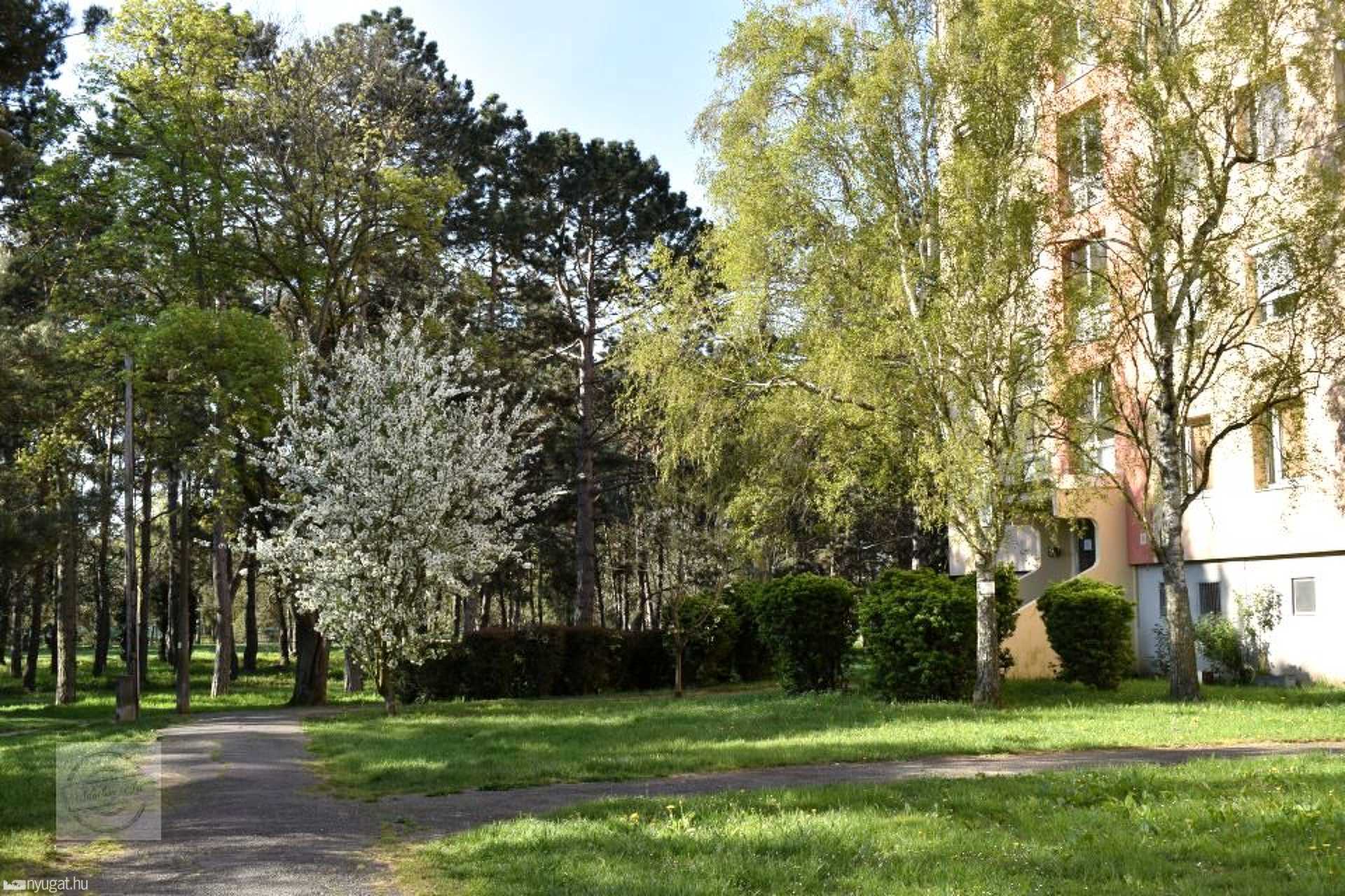 Napfényes karantén reggel Szombathely egyik lakótelepén
