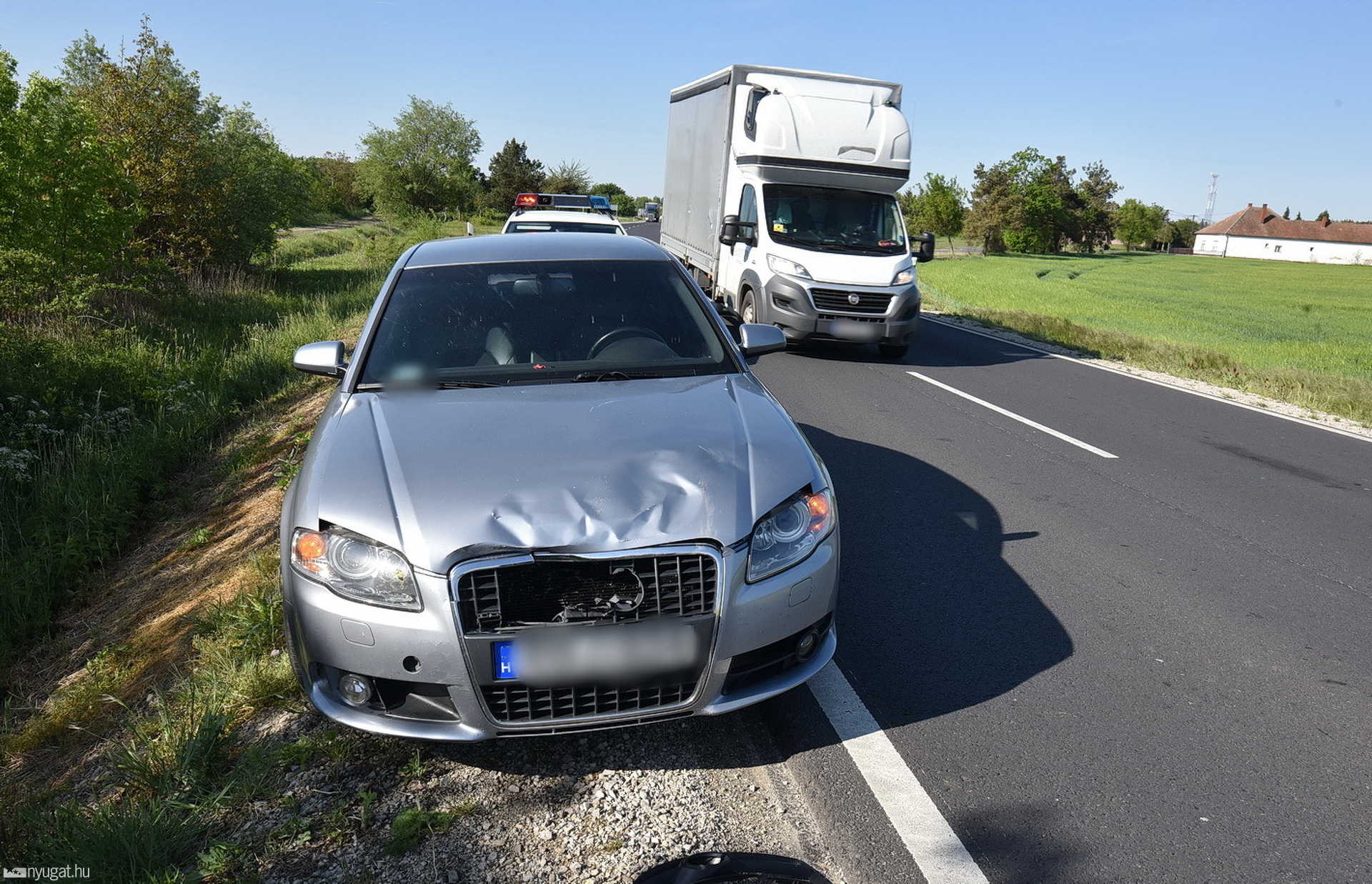 Őzbakot ütött el egy Audi Egyházasrádócnál a 86-os főúton 