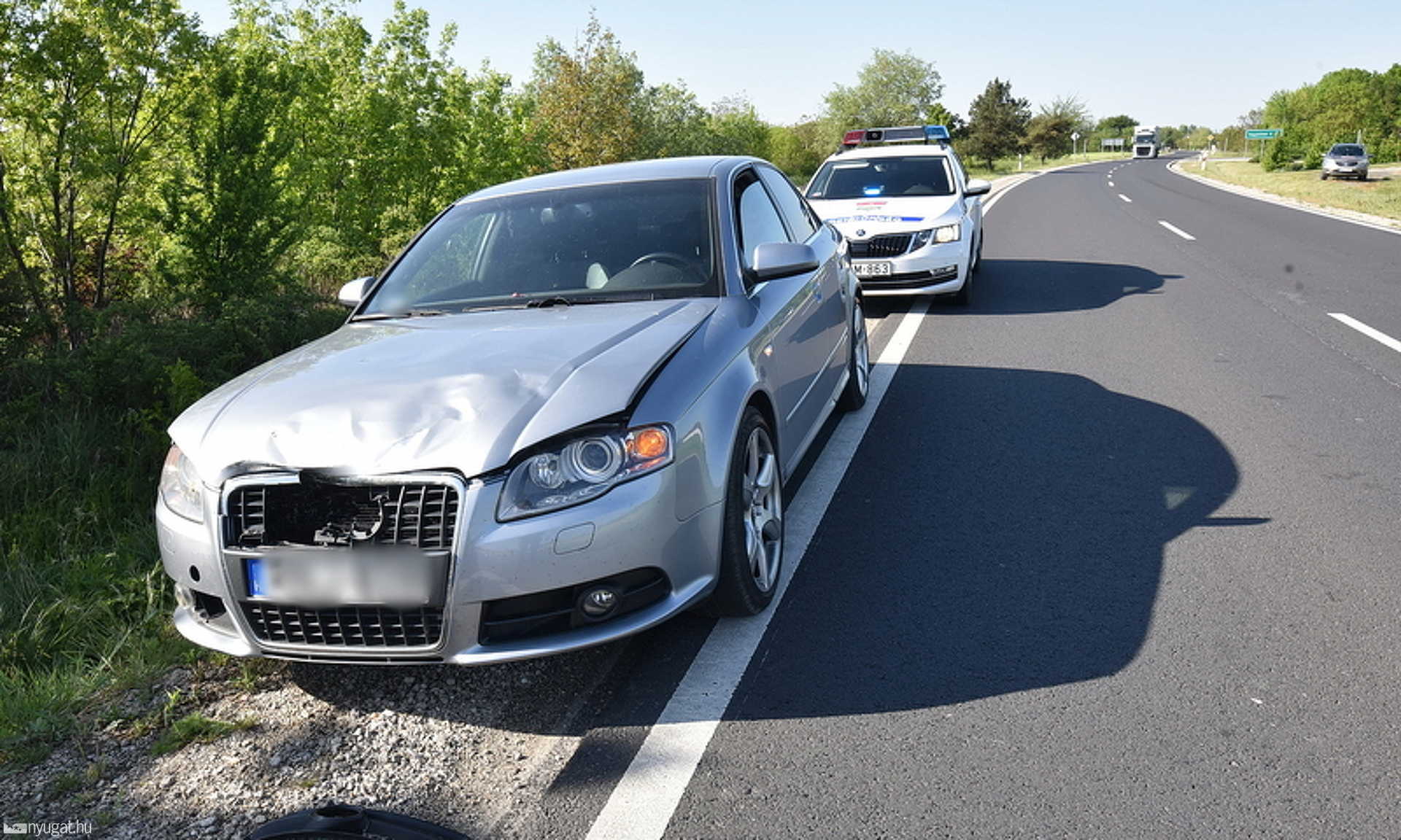 Őzbakot ütött el egy Audi Egyházasrádócnál a 86-os főúton 