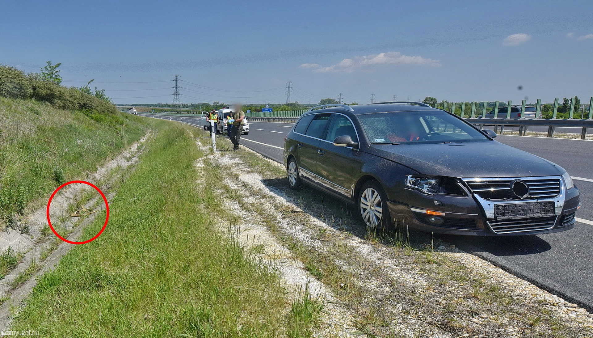 Őzbakot gázolt egy VW az M86-oson