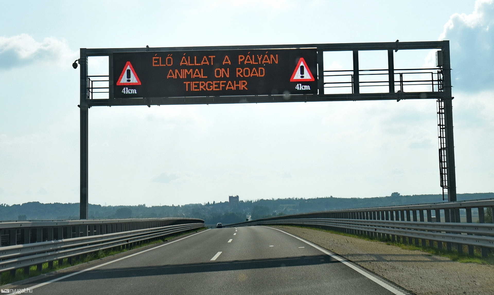Őzbakot gázolt egy VW az M86-oson