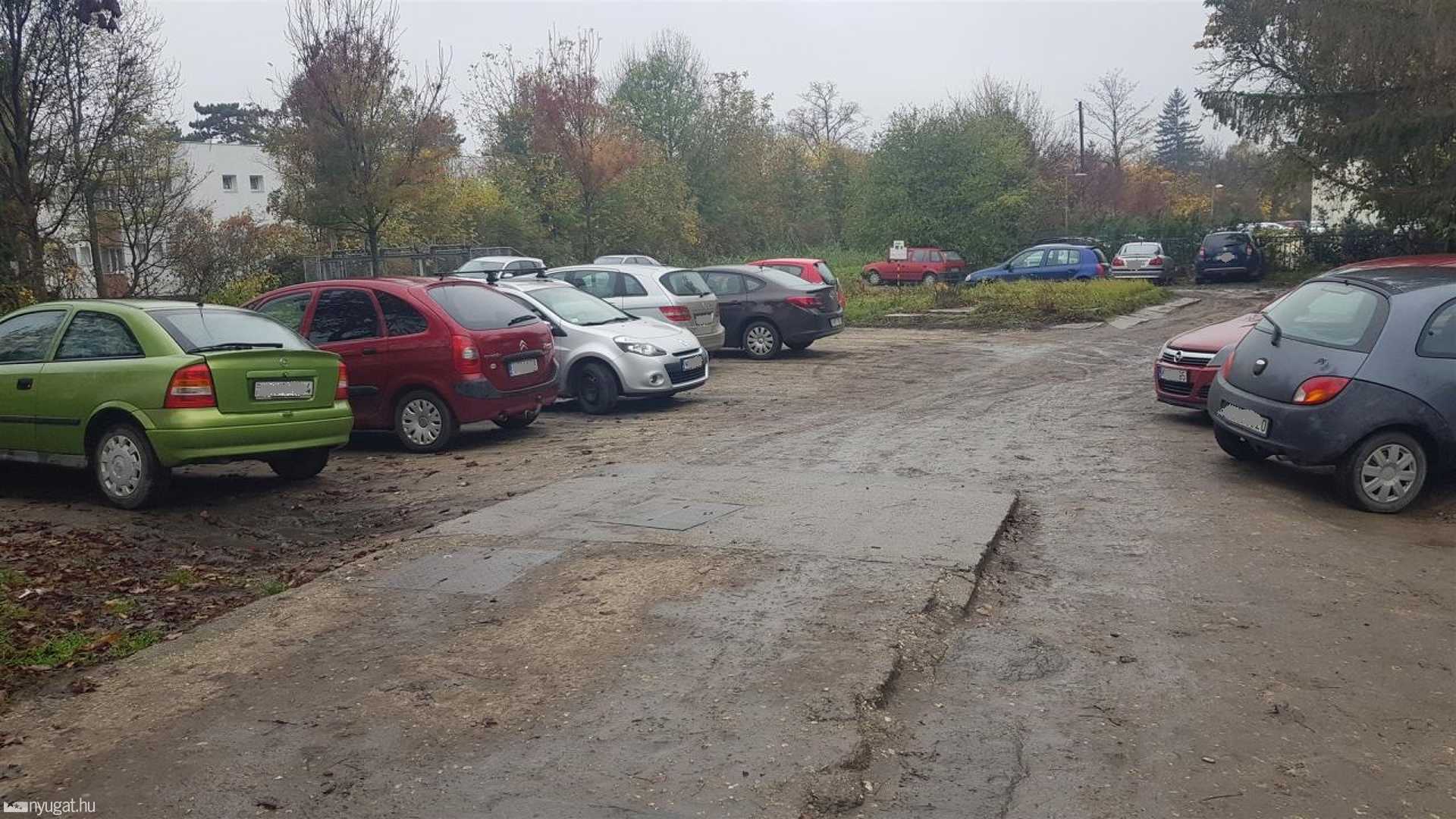 Füvön parkol autók a vérellátónál