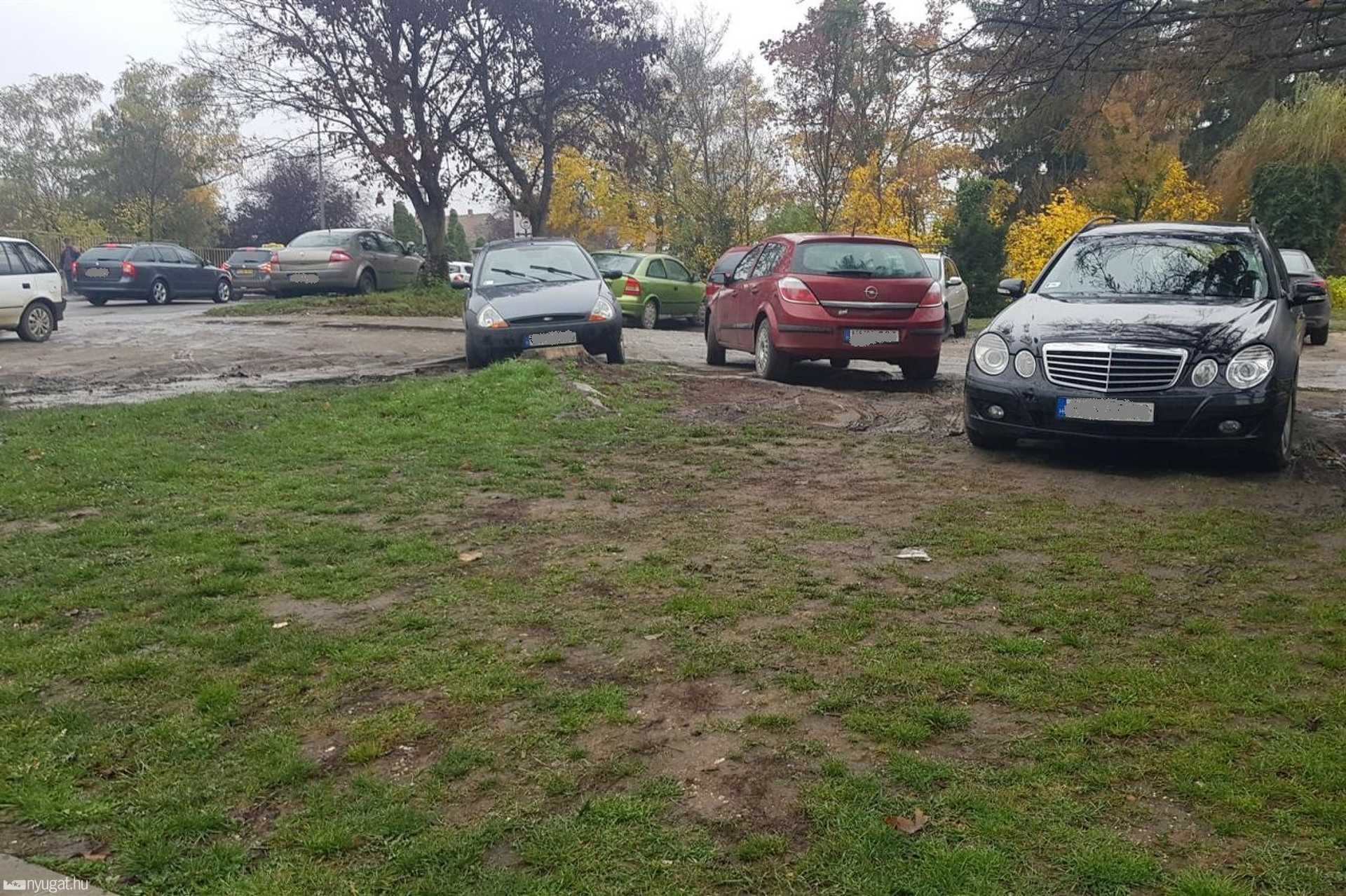 Füvön parkol autók a vérellátónál