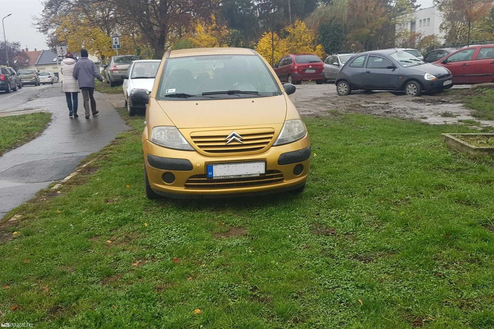 Füvön parkol autók a vérellátónál
