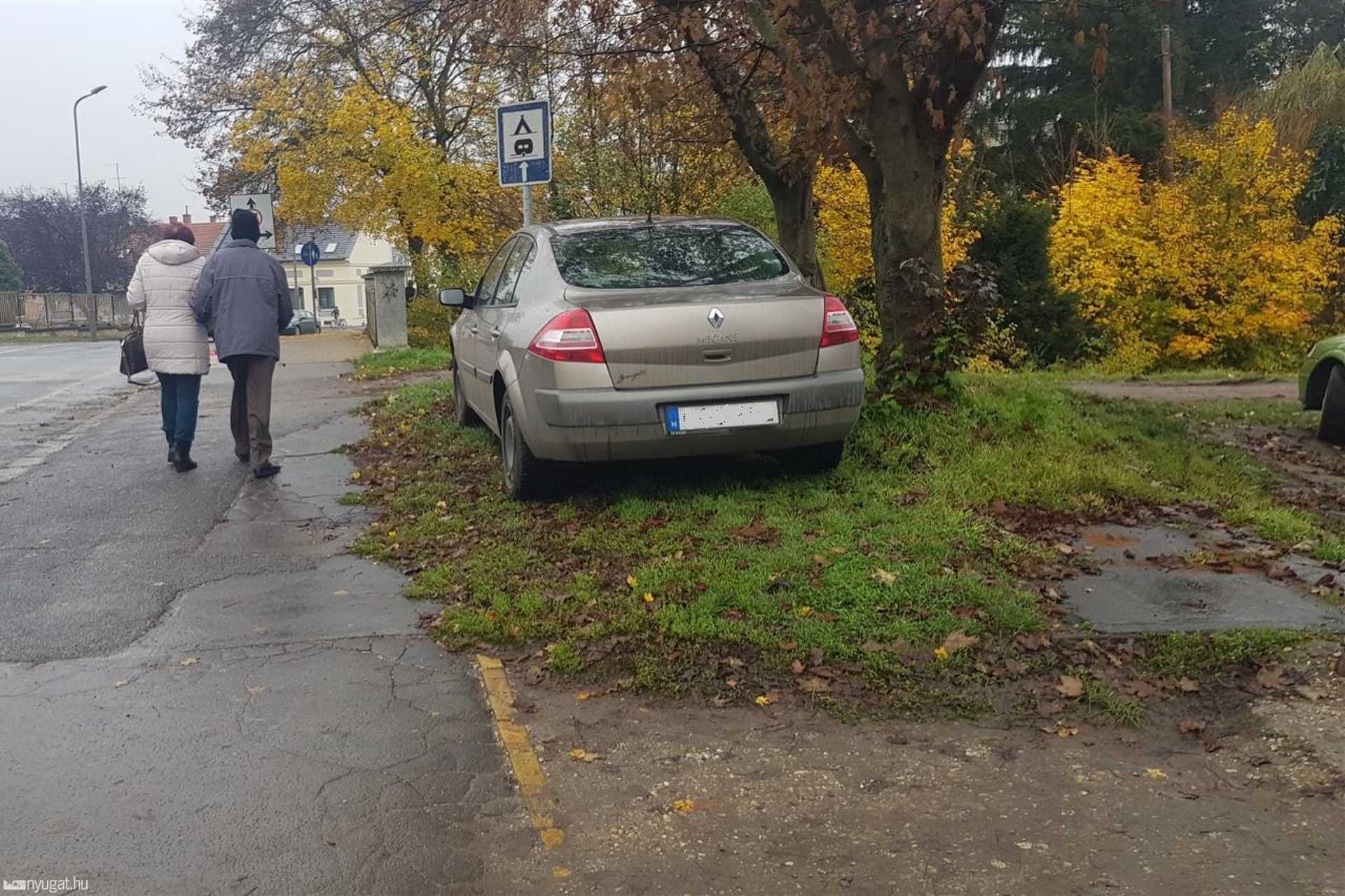 Füvön parkol autók a vérellátónál