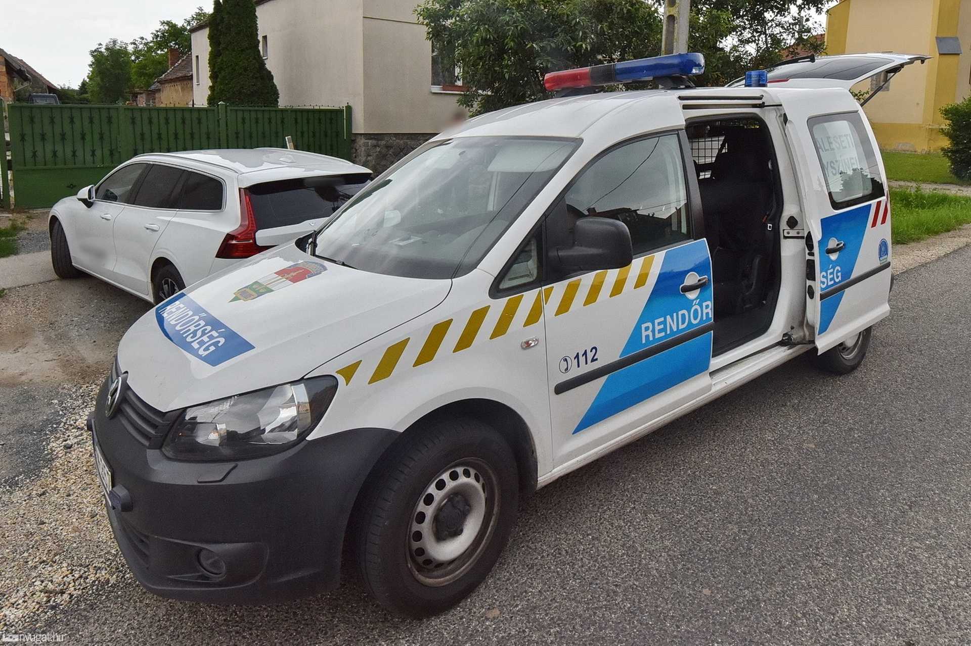 Nagytestű kutya rohant Volvo oldalának Zanaton, a 86-os főúton