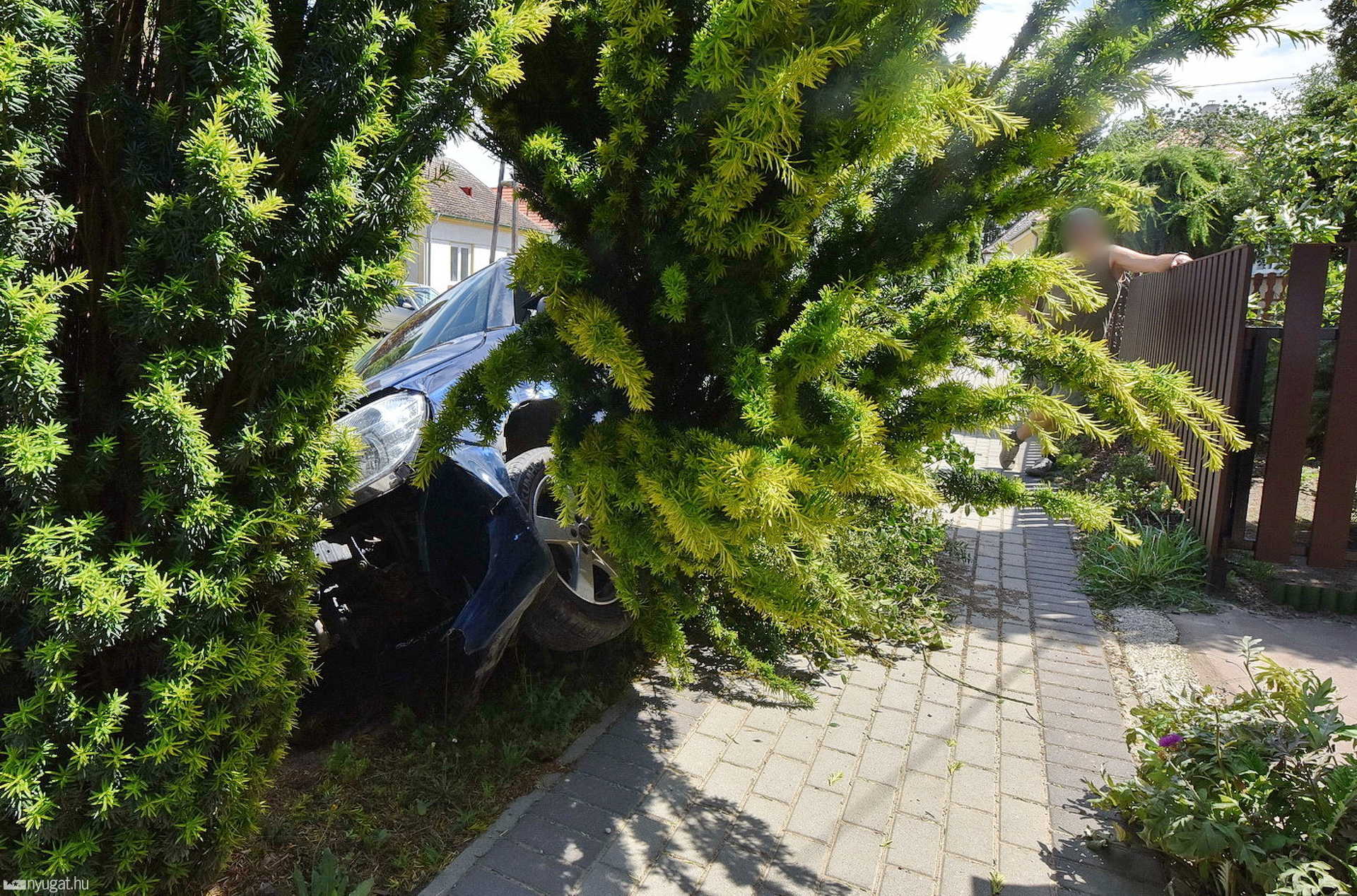 Árokba hajtott egy Skoda Gencsapátiban, kidöntött egy tuját is, aminek az ága eltalált egy asszonyt