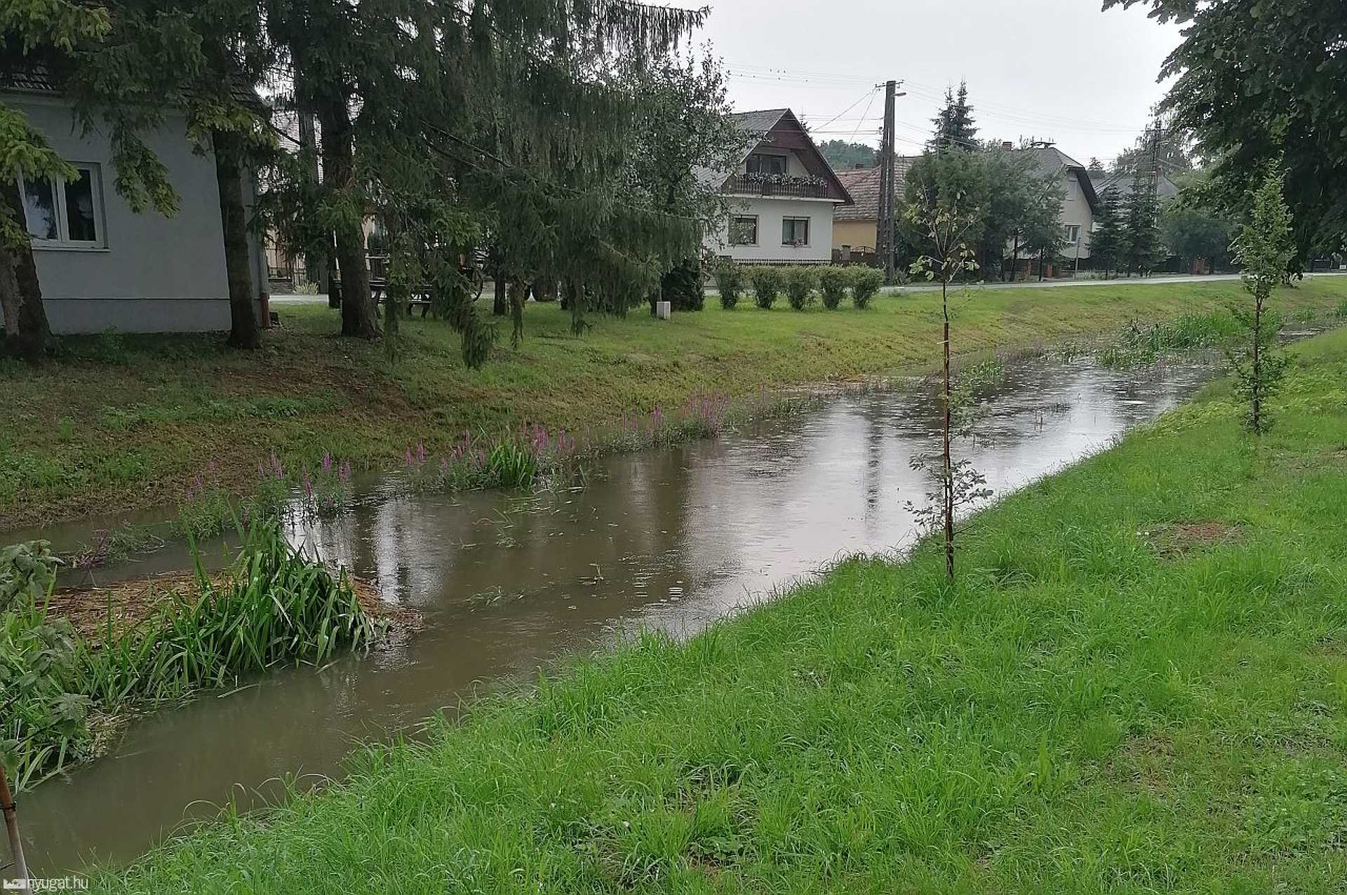 Bucsu, mocsár, Aranypatak