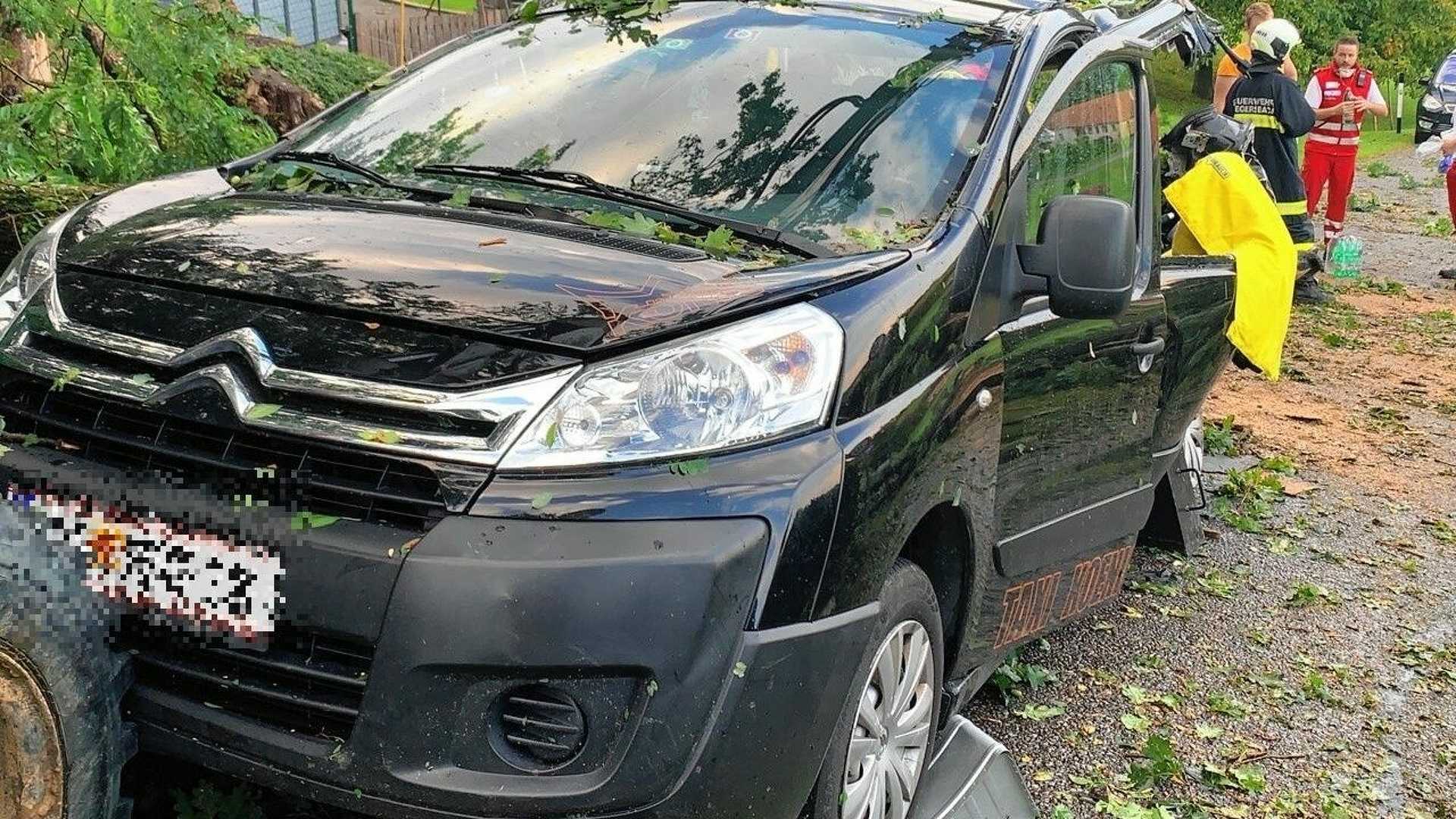 Kisbuszra dőlt egy fa Dél-Burgenlandban