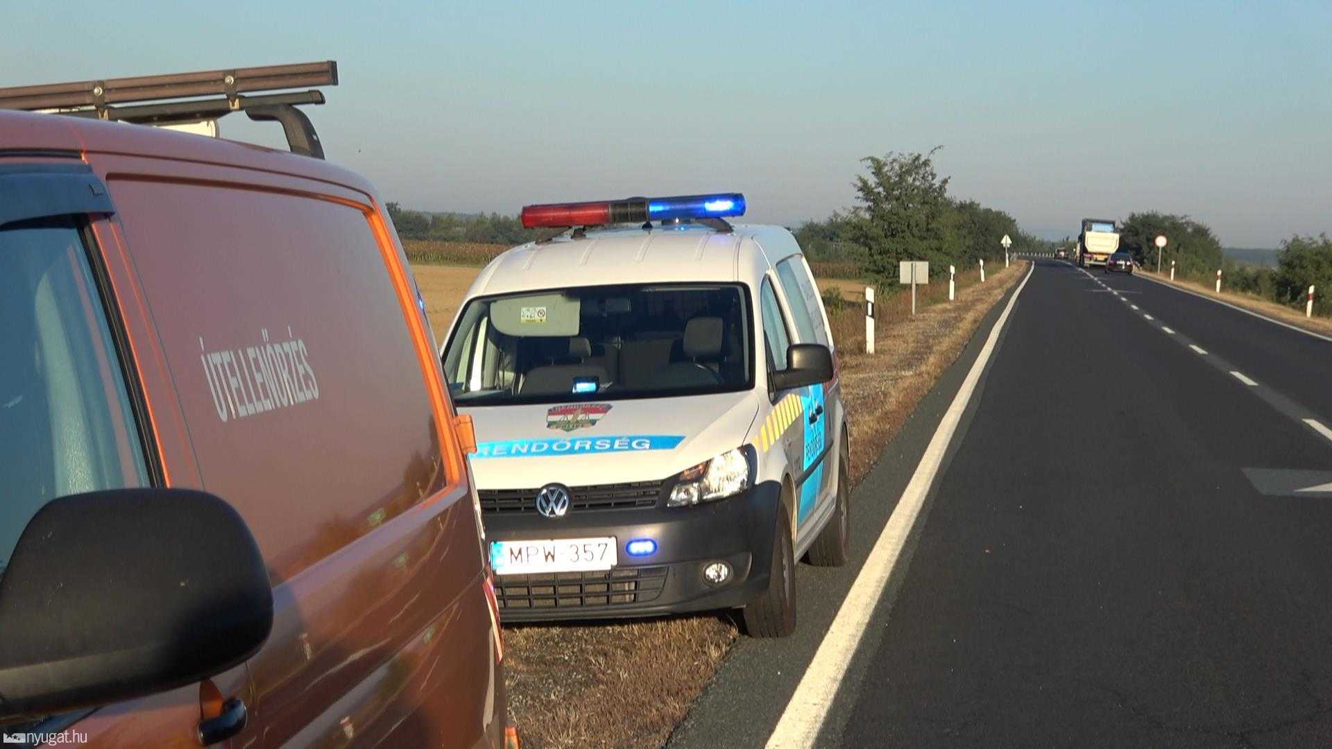 Eltörött a gerince a Volkswagen elé ugró szarvasnak Sé közelében 