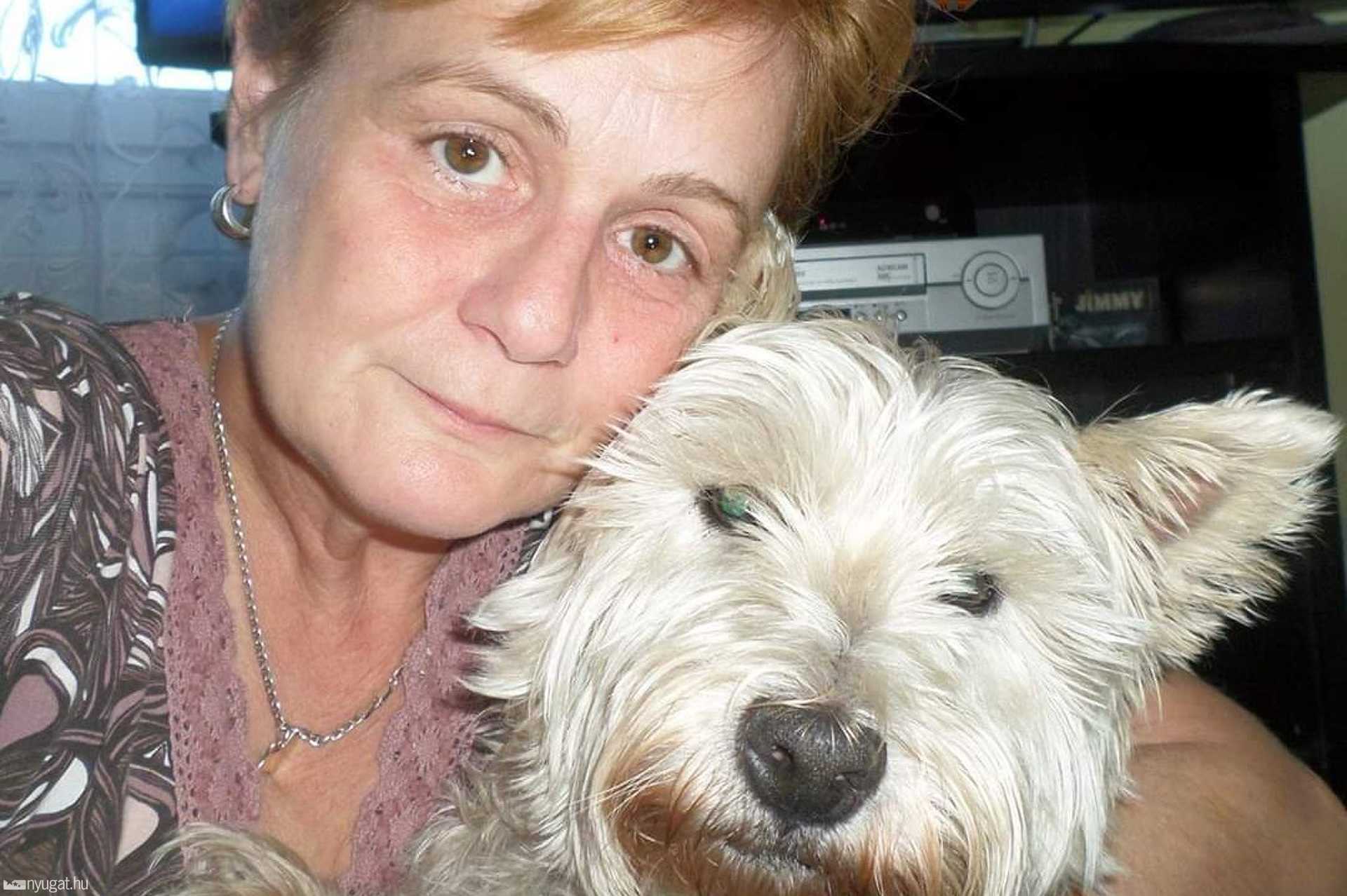Gigi, a 15 éves cukorbeteg westie