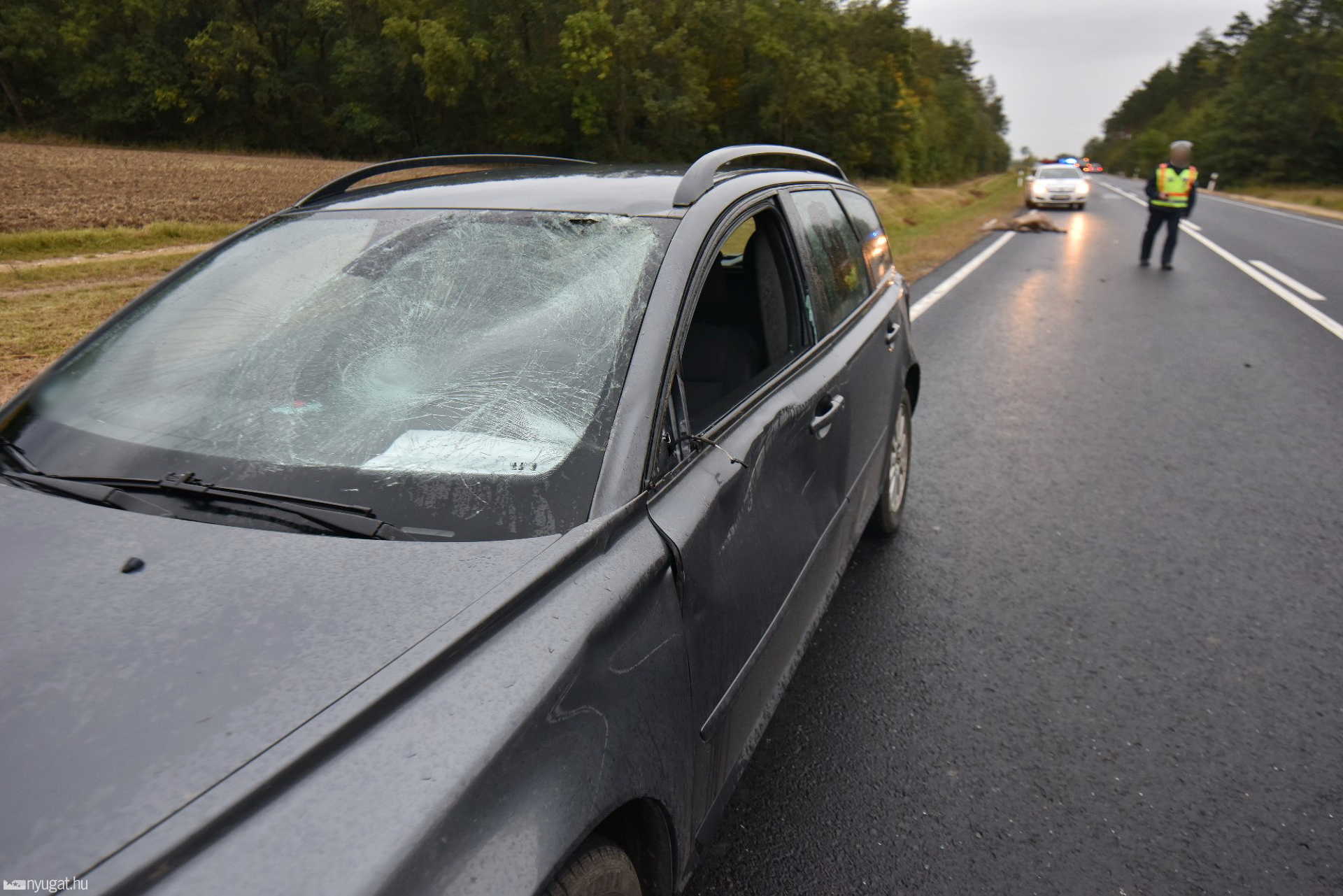 Szarvas ütközött Volvóval a 89-es úton