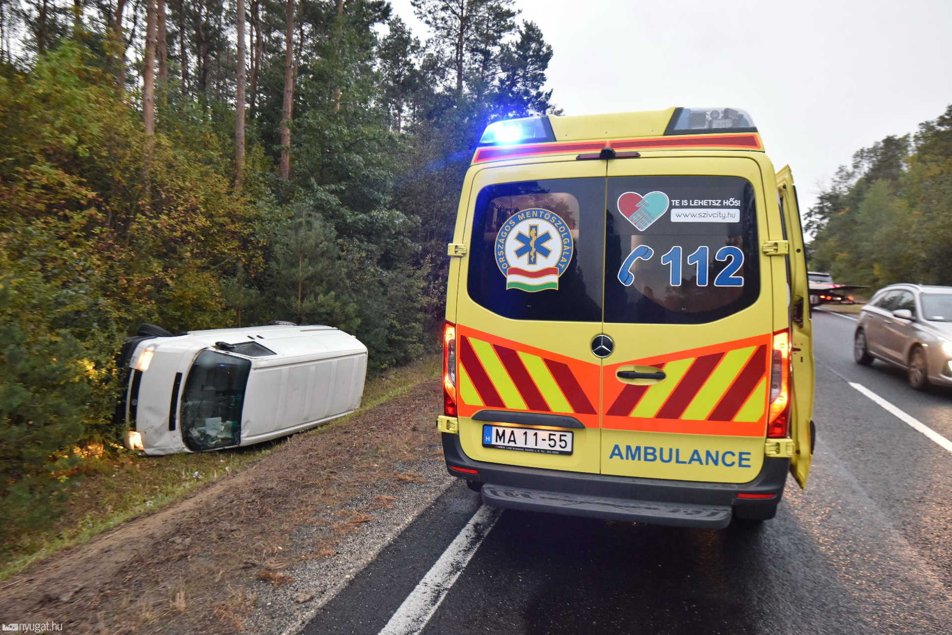 Újabb vadbaleset a 89-es úton