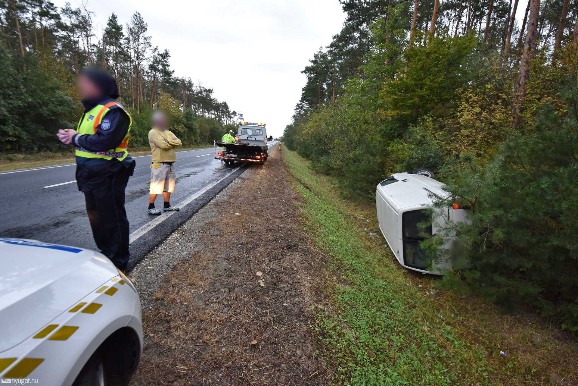 Újabb vadbaleset a 89-es úton