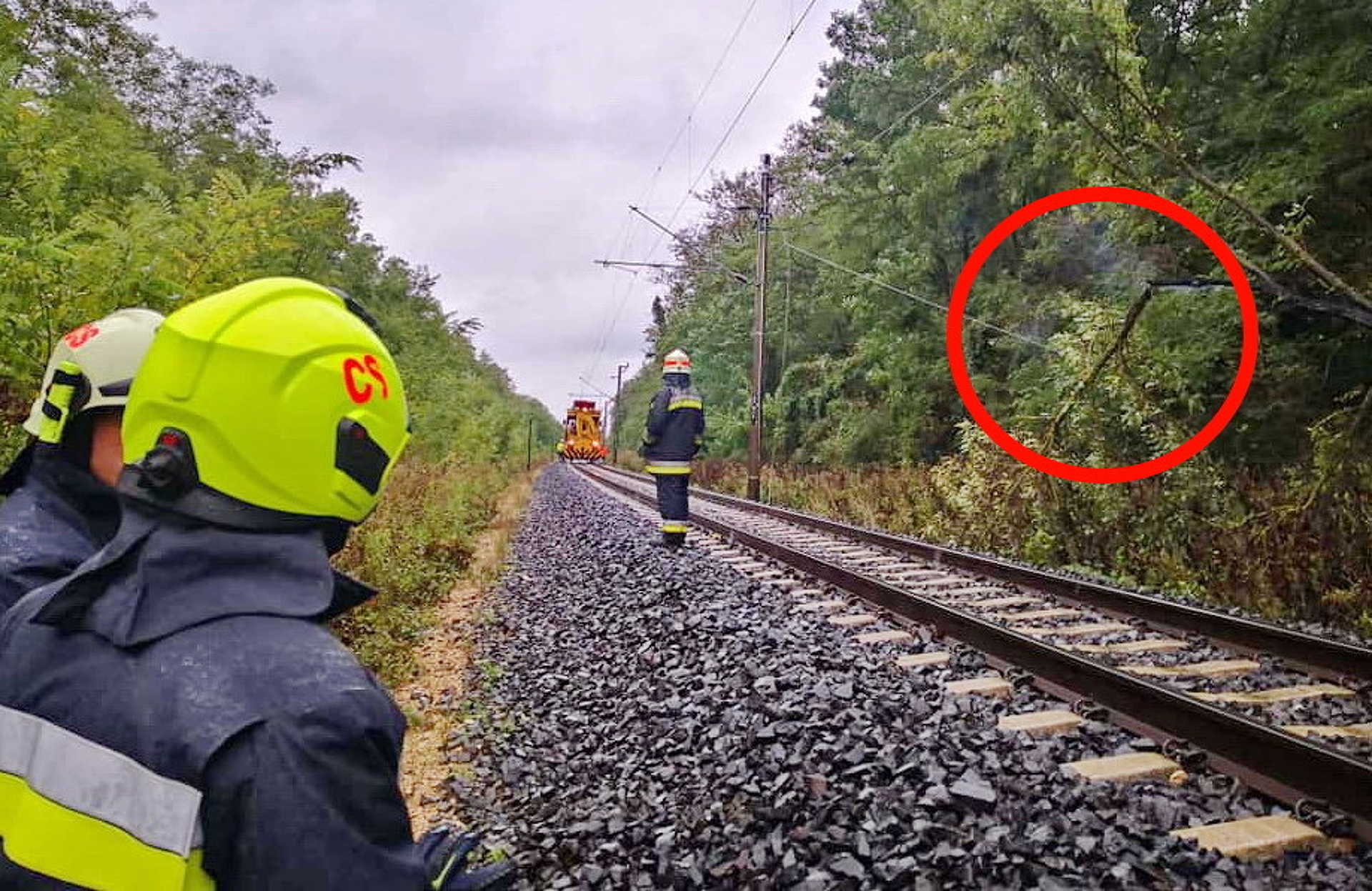 Vezetékre dőlt és kigyulladt egy fa Bük és Acsád állomások között