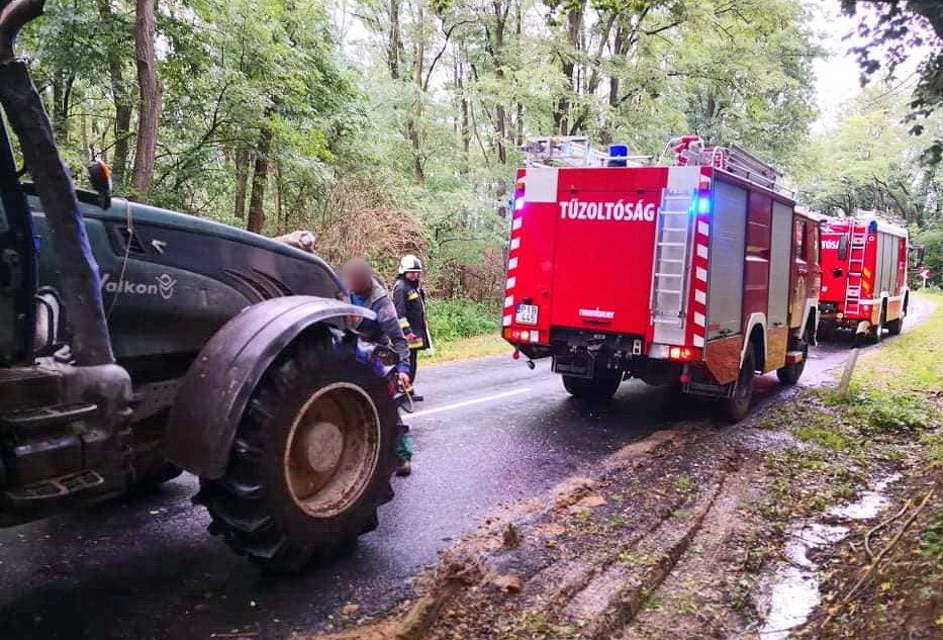 Vezetékre dőlt és kigyulladt egy fa Bük és Acsád állomások között