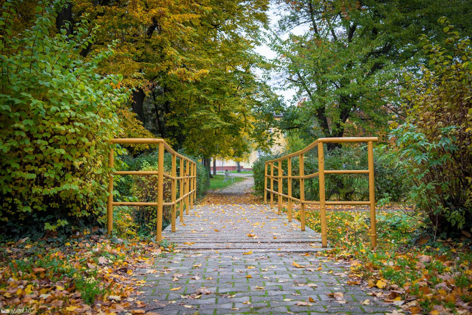 Gayer park ősszel 2020