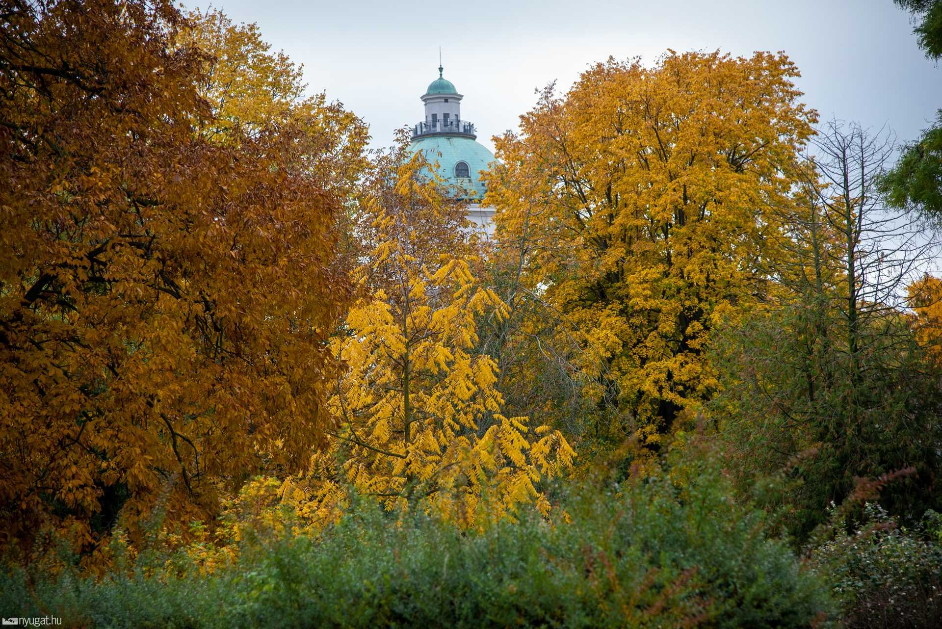 Gayer park ősszel 2020