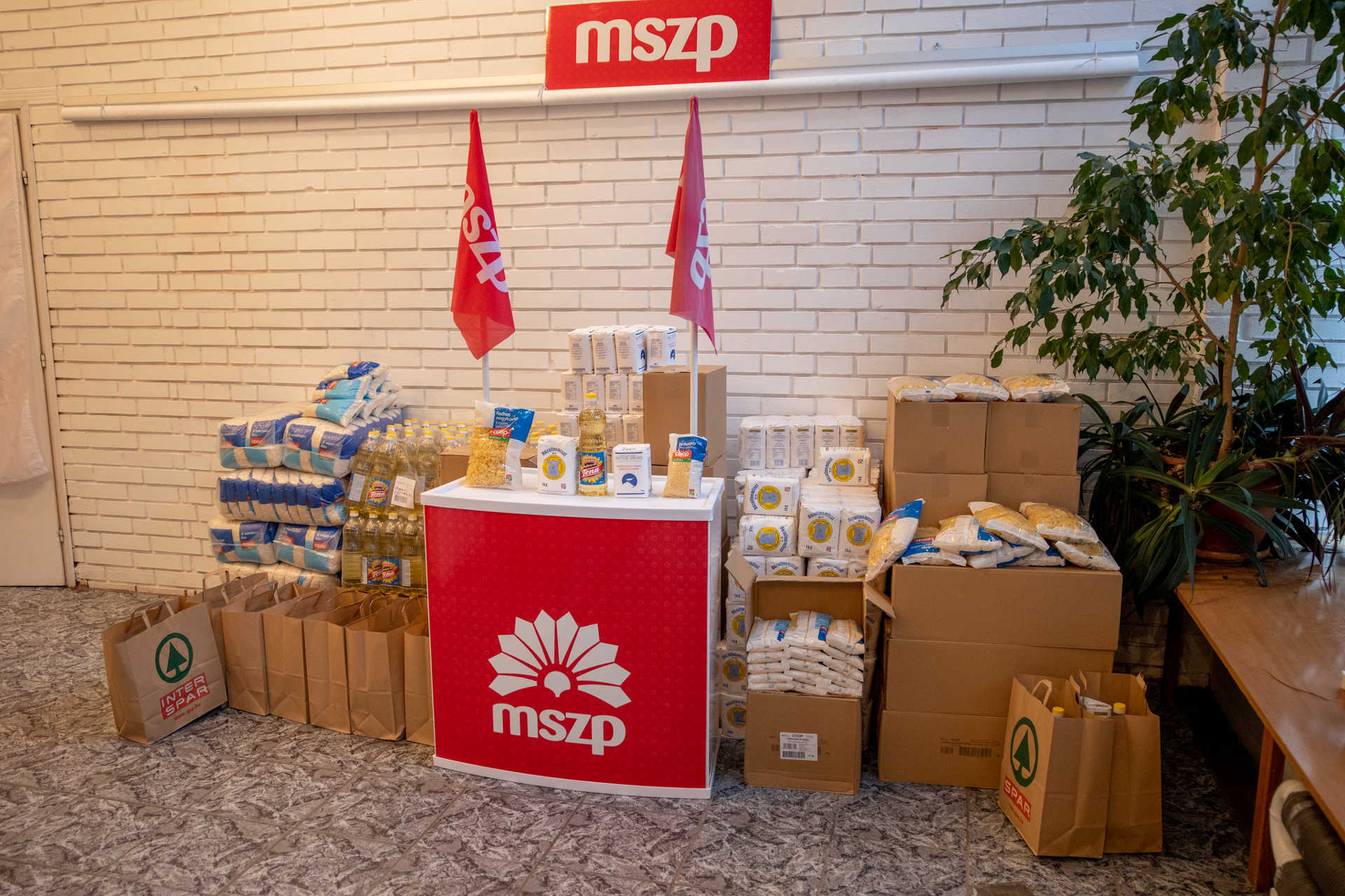 Több mint egy tonna élelmiszert oszt ki az MSZP Vas megyében