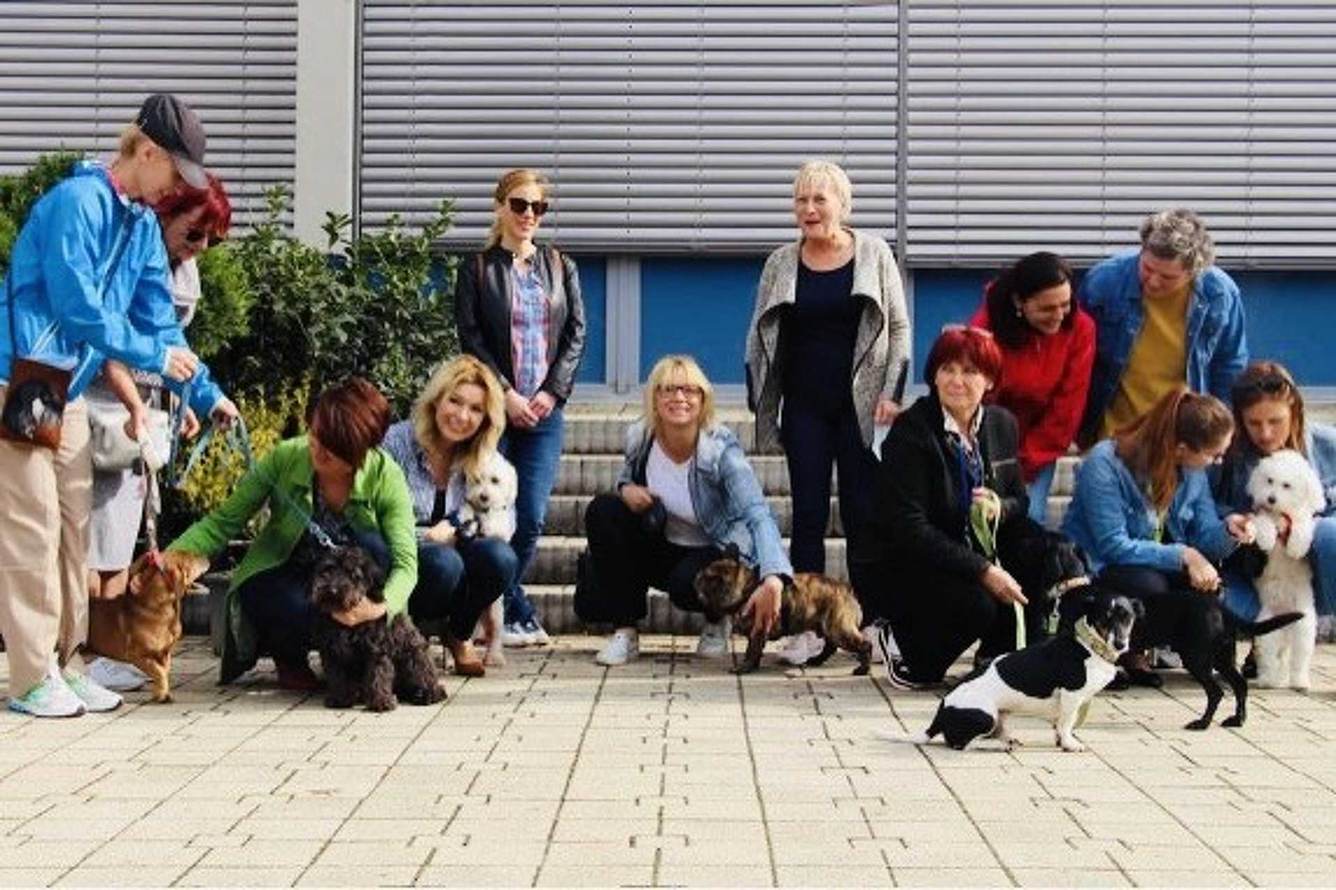 Kutyabarát munkahely lett az AGORA