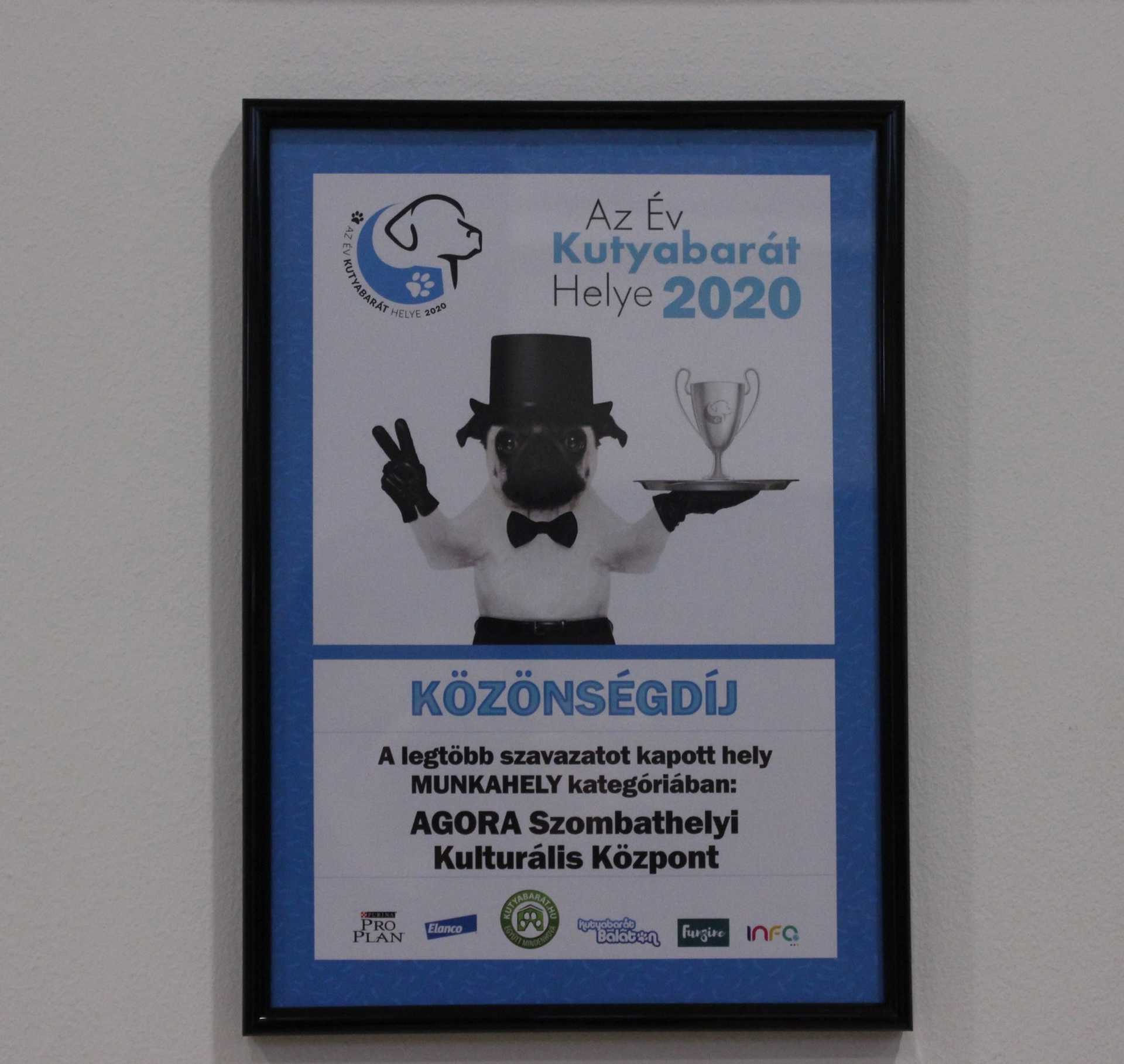 Kutyabarát munkahely lett az AGORA