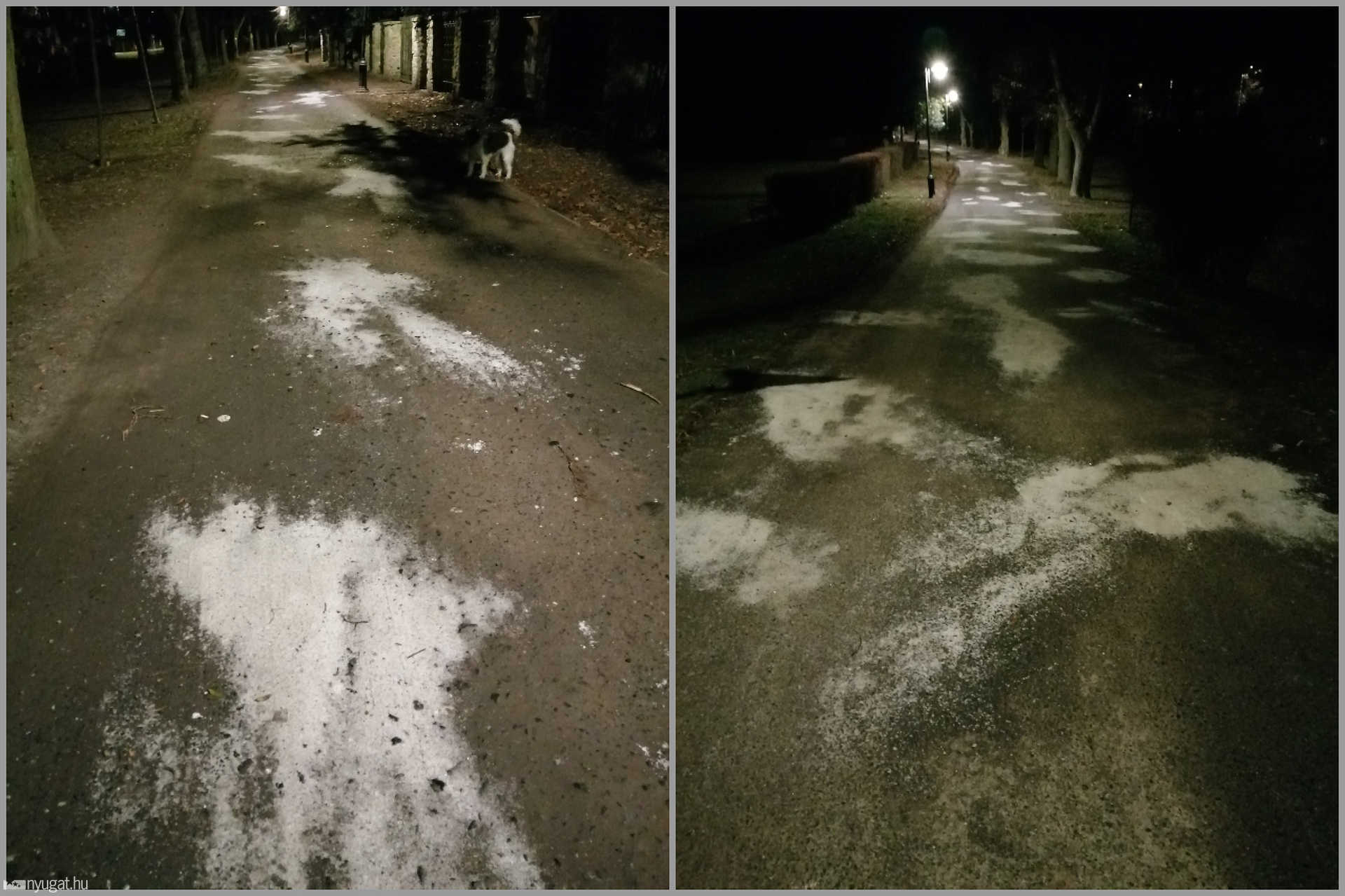 Trehányan lesózták a Jókai park sétányát