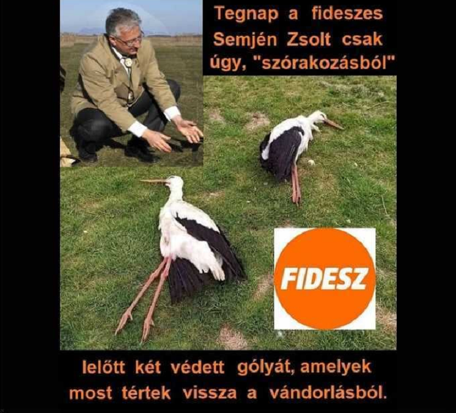 Gagyi kamuképpel próbálták gólyagyilkosnak beállítani Semjén Zsoltot