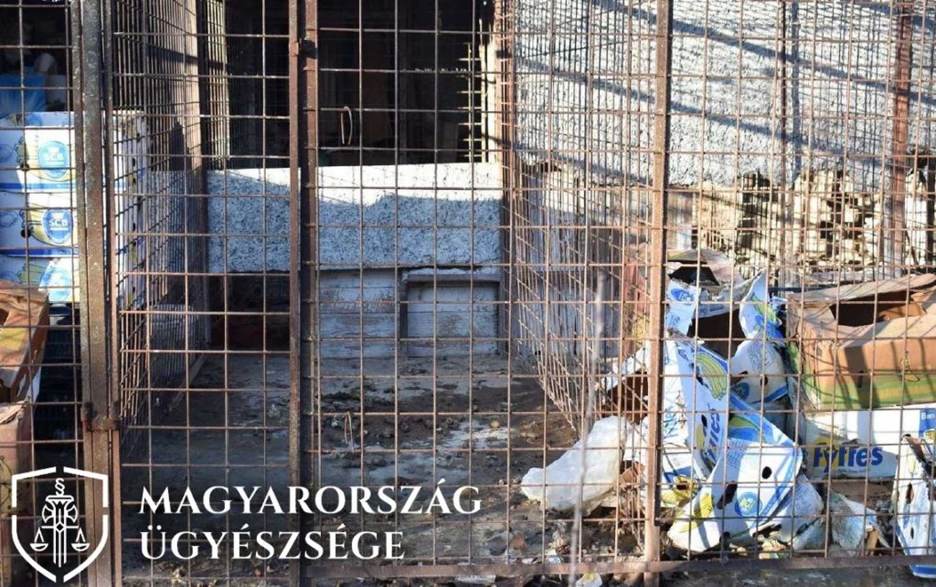 Halálra éheztette kutyáit a pécsi férfi