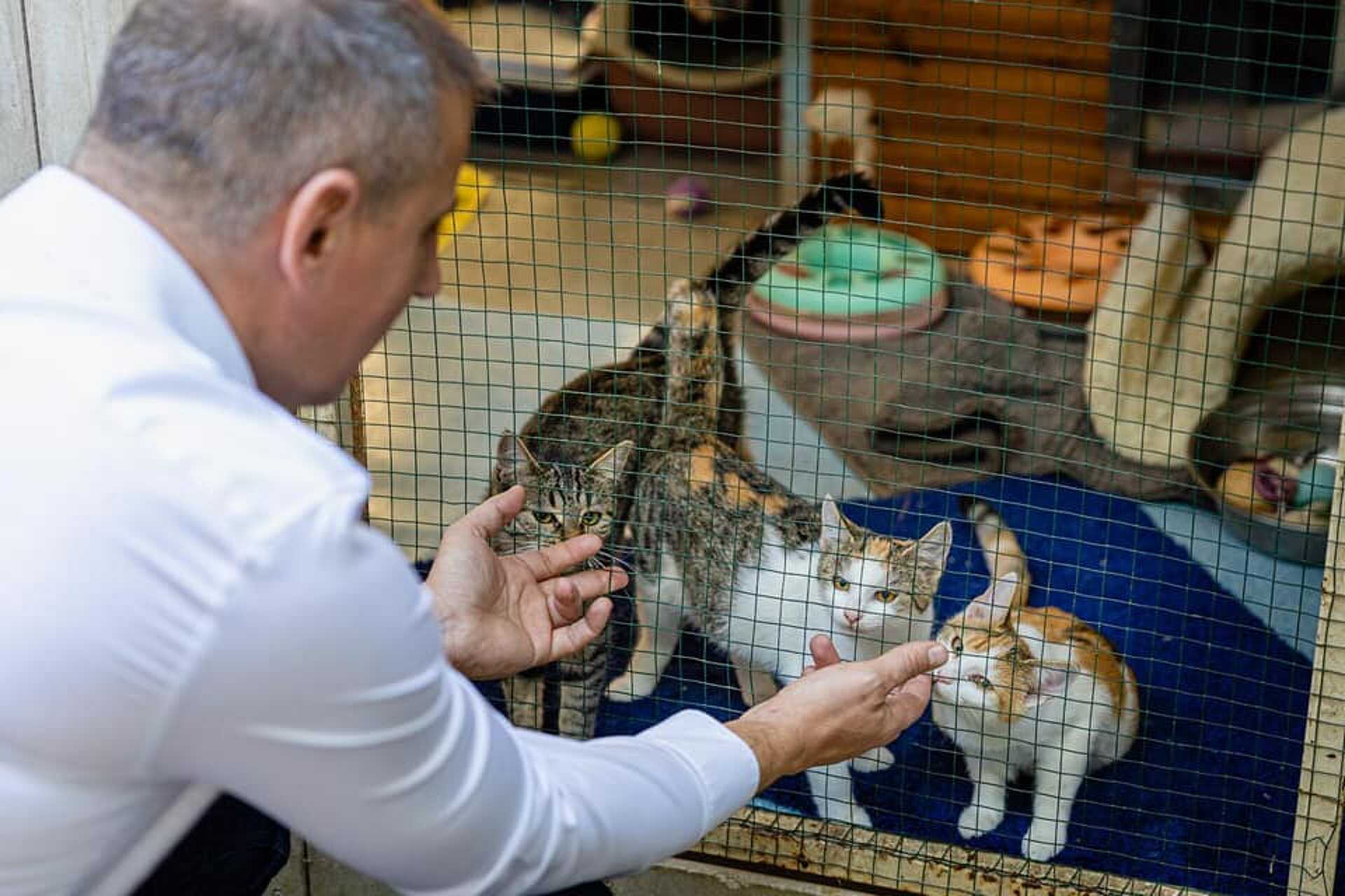 Nemény András polgármester is megünnepelte az állatok világnapját