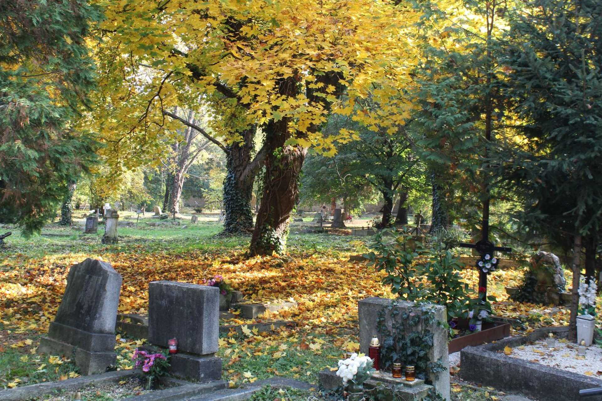 A szombathelyi Szent Márton temető